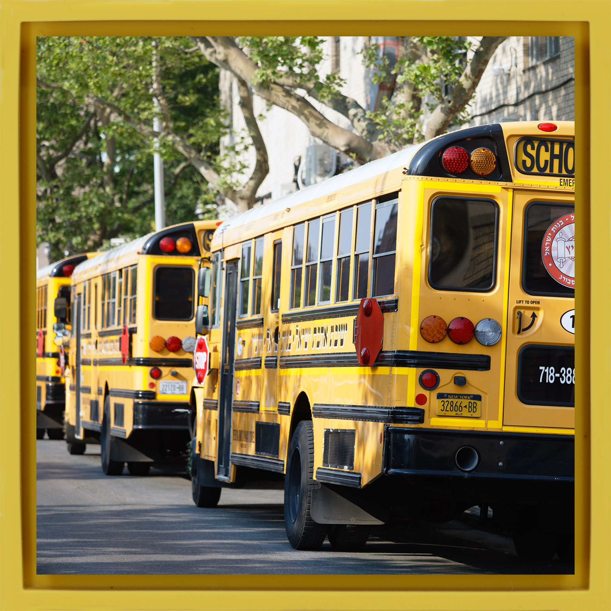 Bus scolaires hassidiques - Emballage jaune