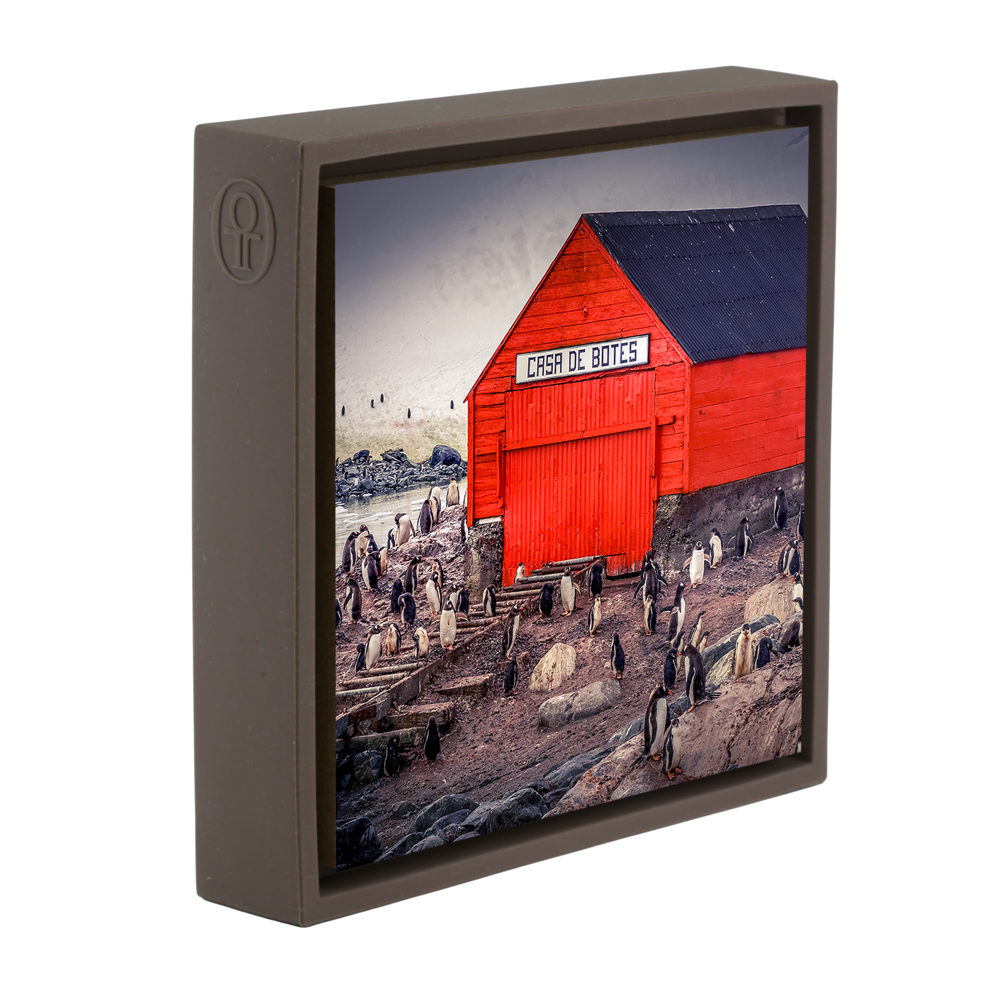 The Busiest House in Antartica- Brown Wrapp