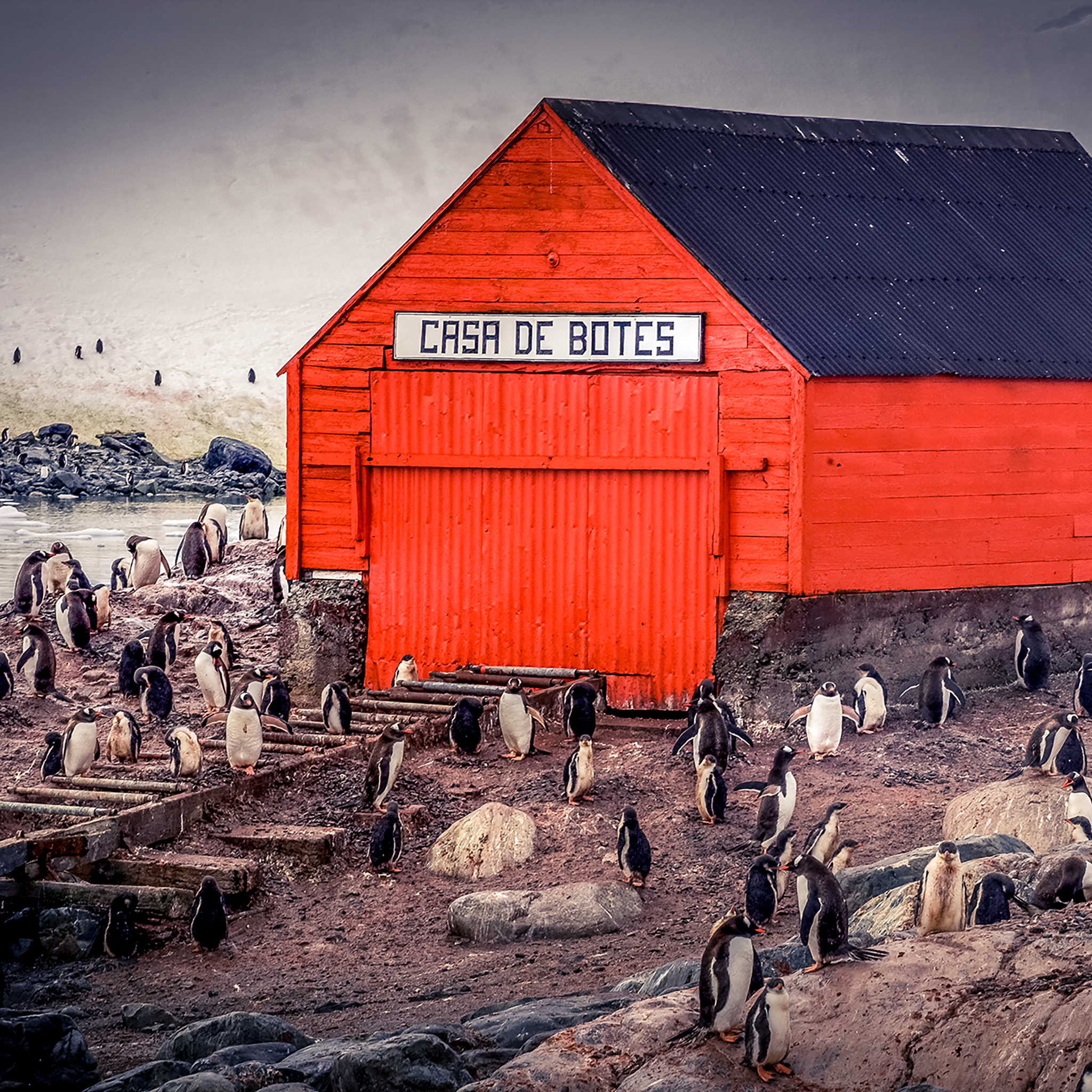 The Busiest House in Antartica- Collection: Antartica