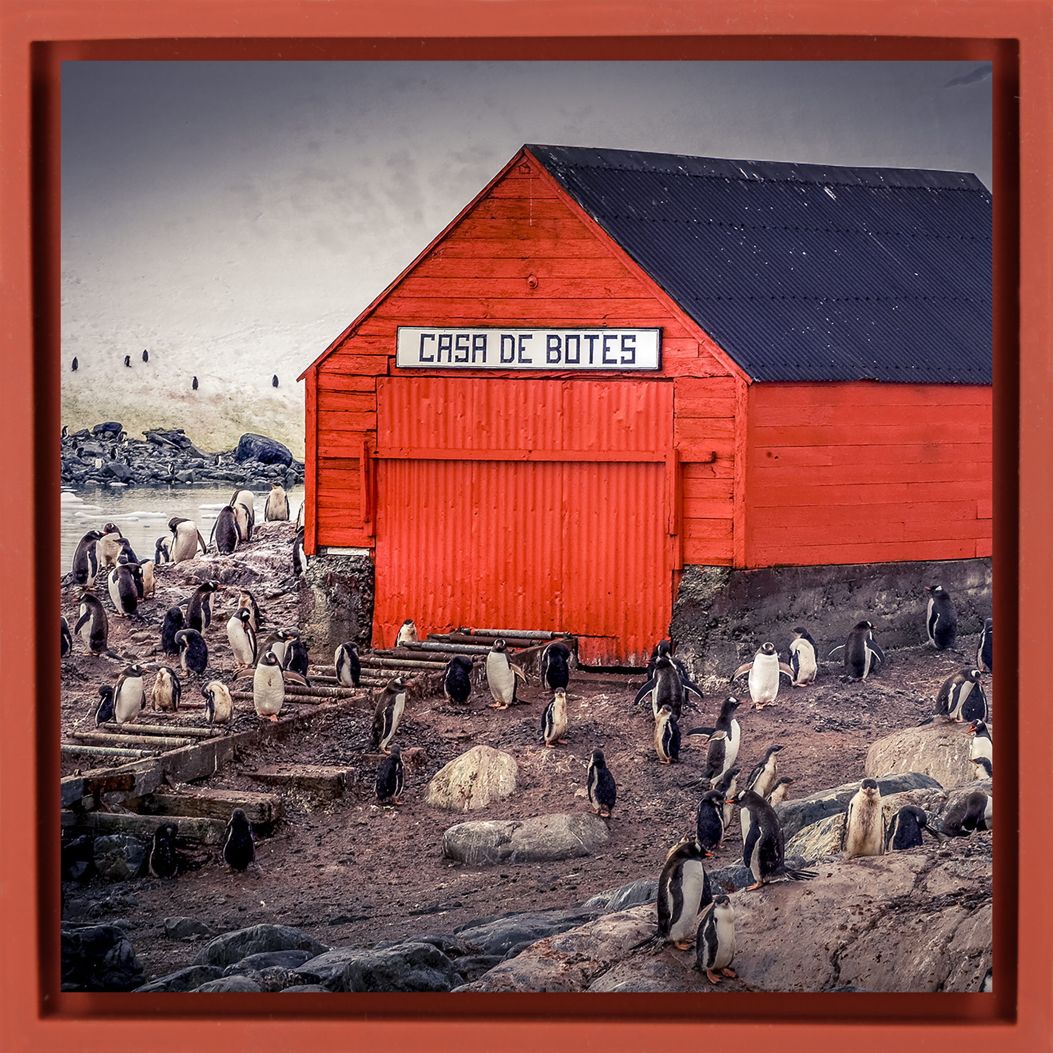 The Busiest House in Antartica- Red Wrapp