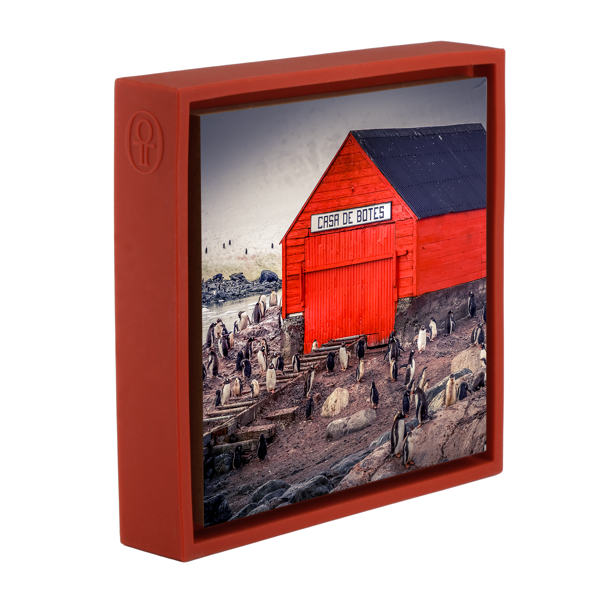 The Busiest House in Antartica- Red Wrapp