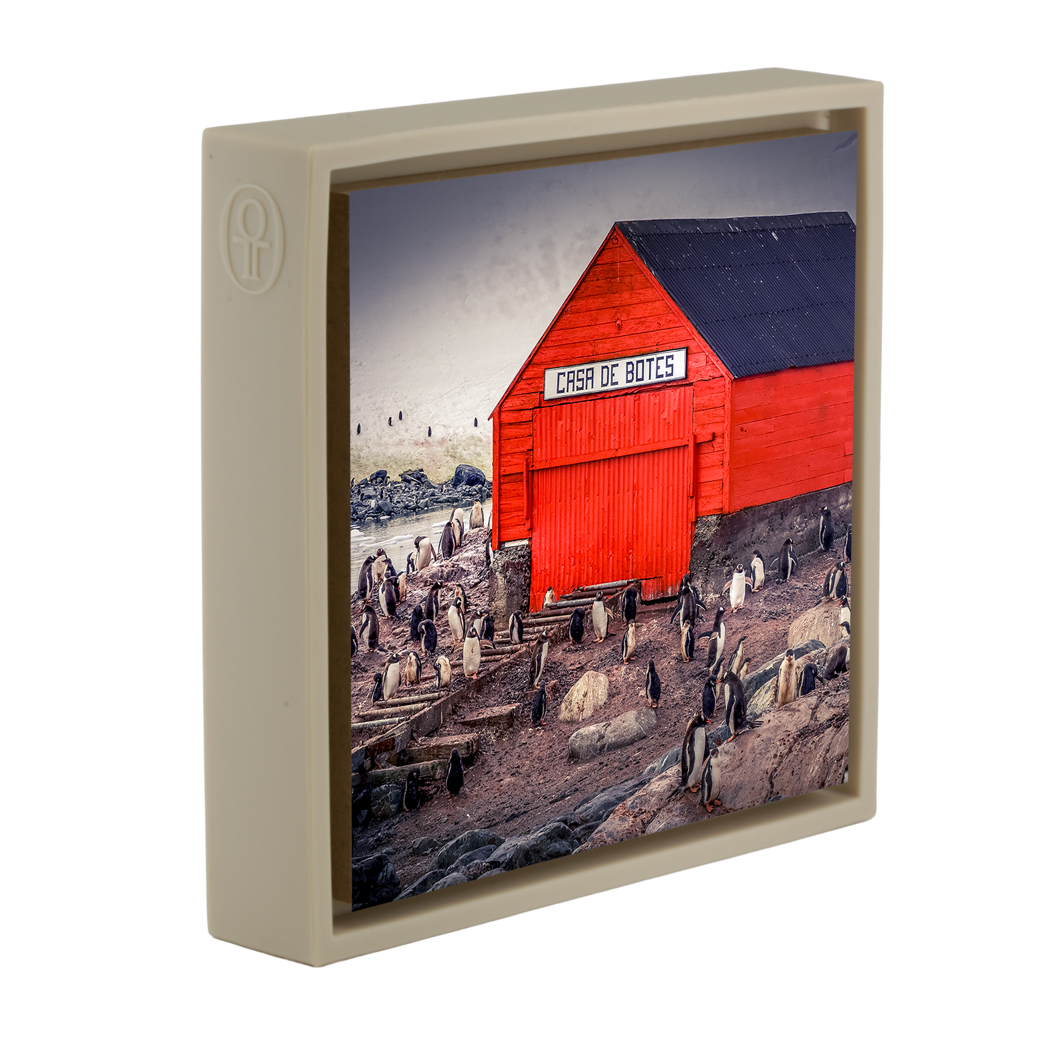The Busiest House in Antartica- Sand Wrapp