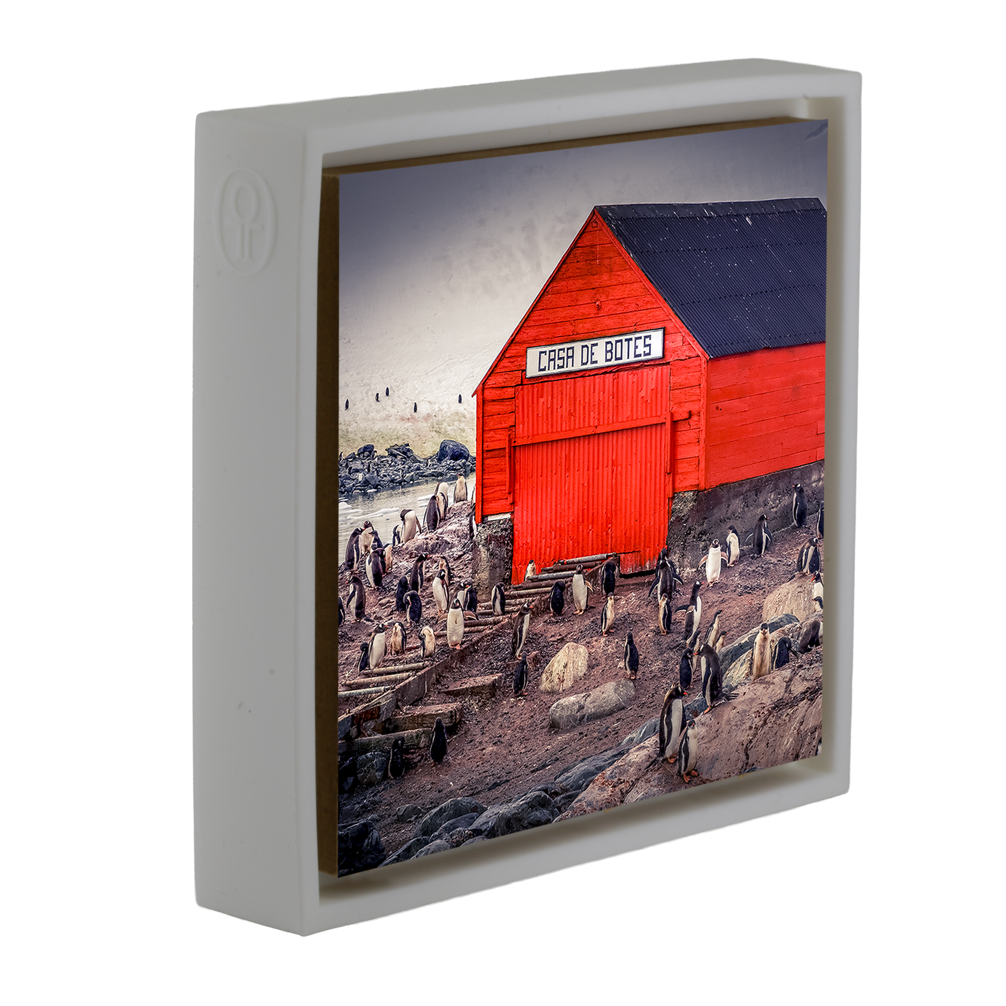 The Busiest House in Antartica- White Wrapp