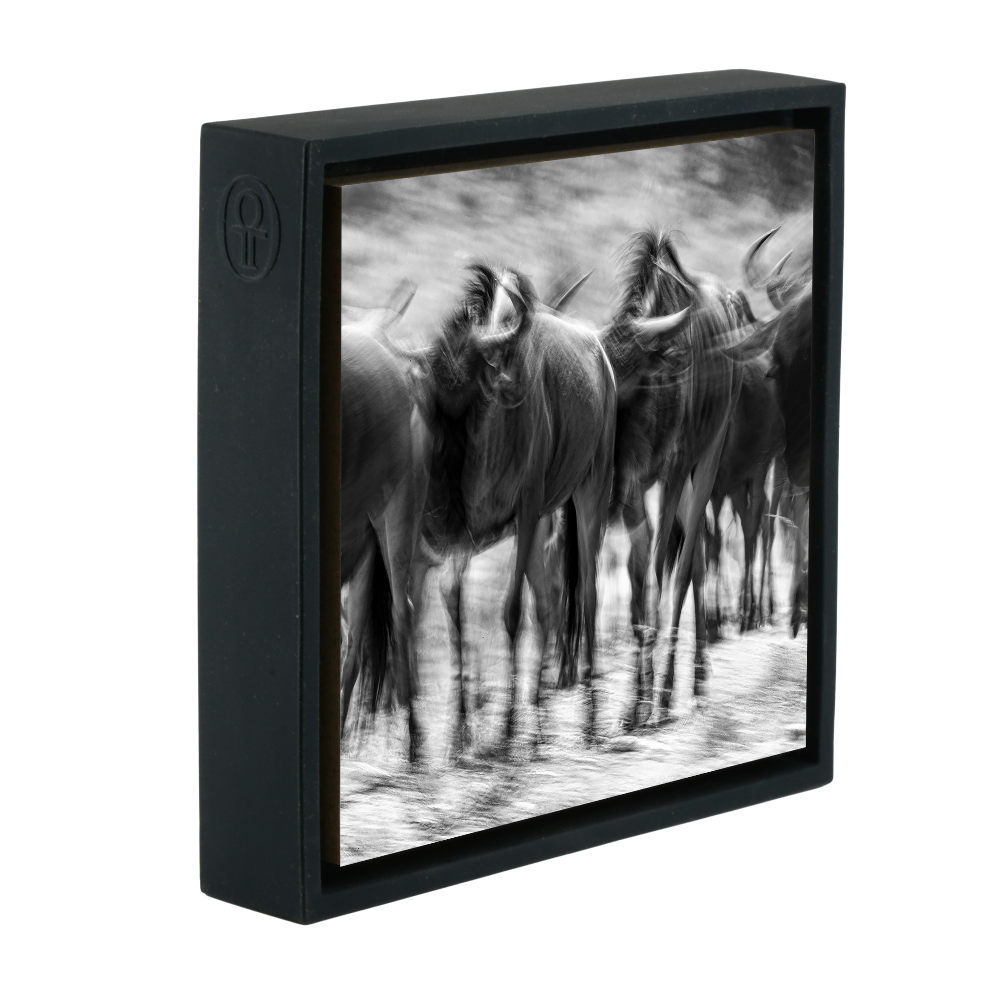 The Great Migration- Black Wrapp