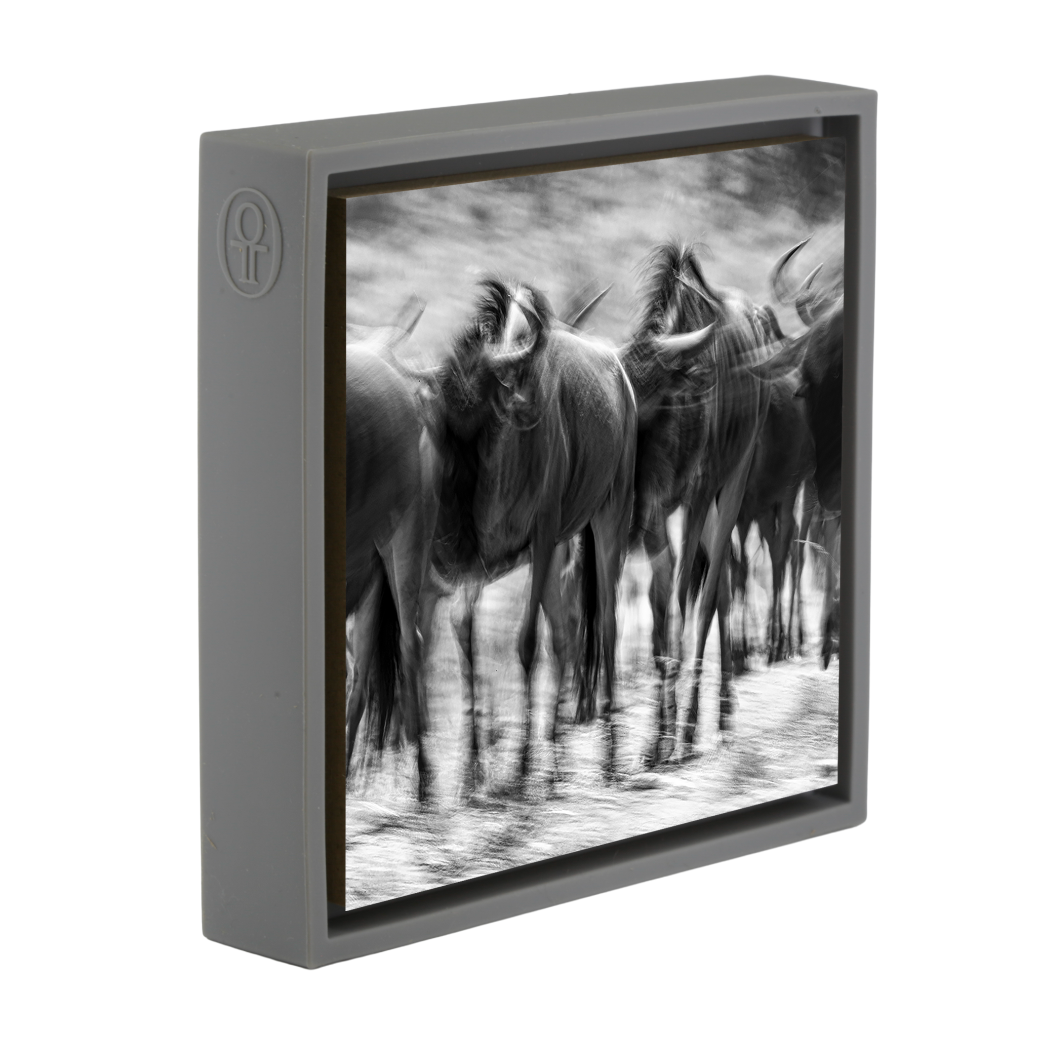 The Great Migration- Grey Wrapp
