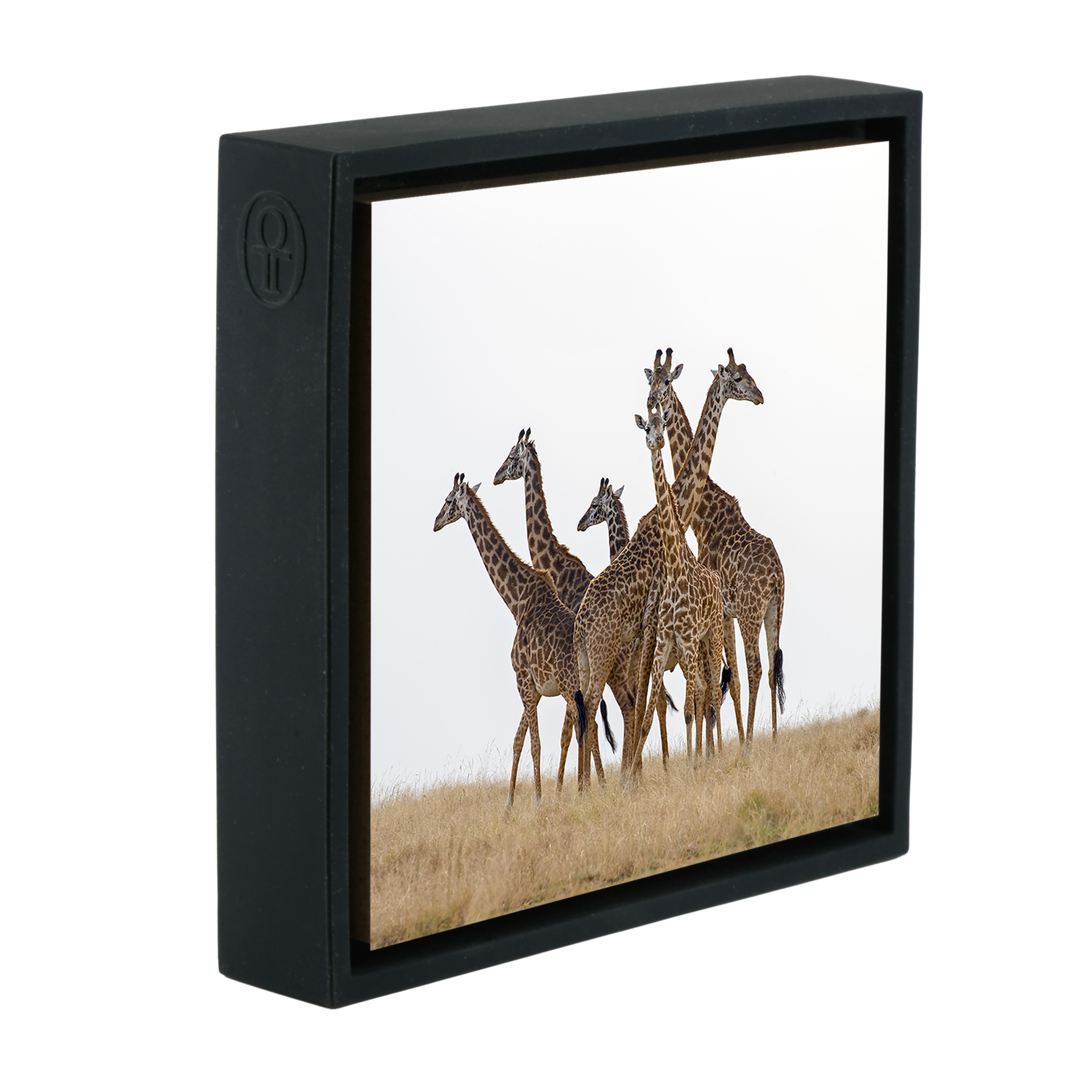 Family Meeting- Black Wrapp