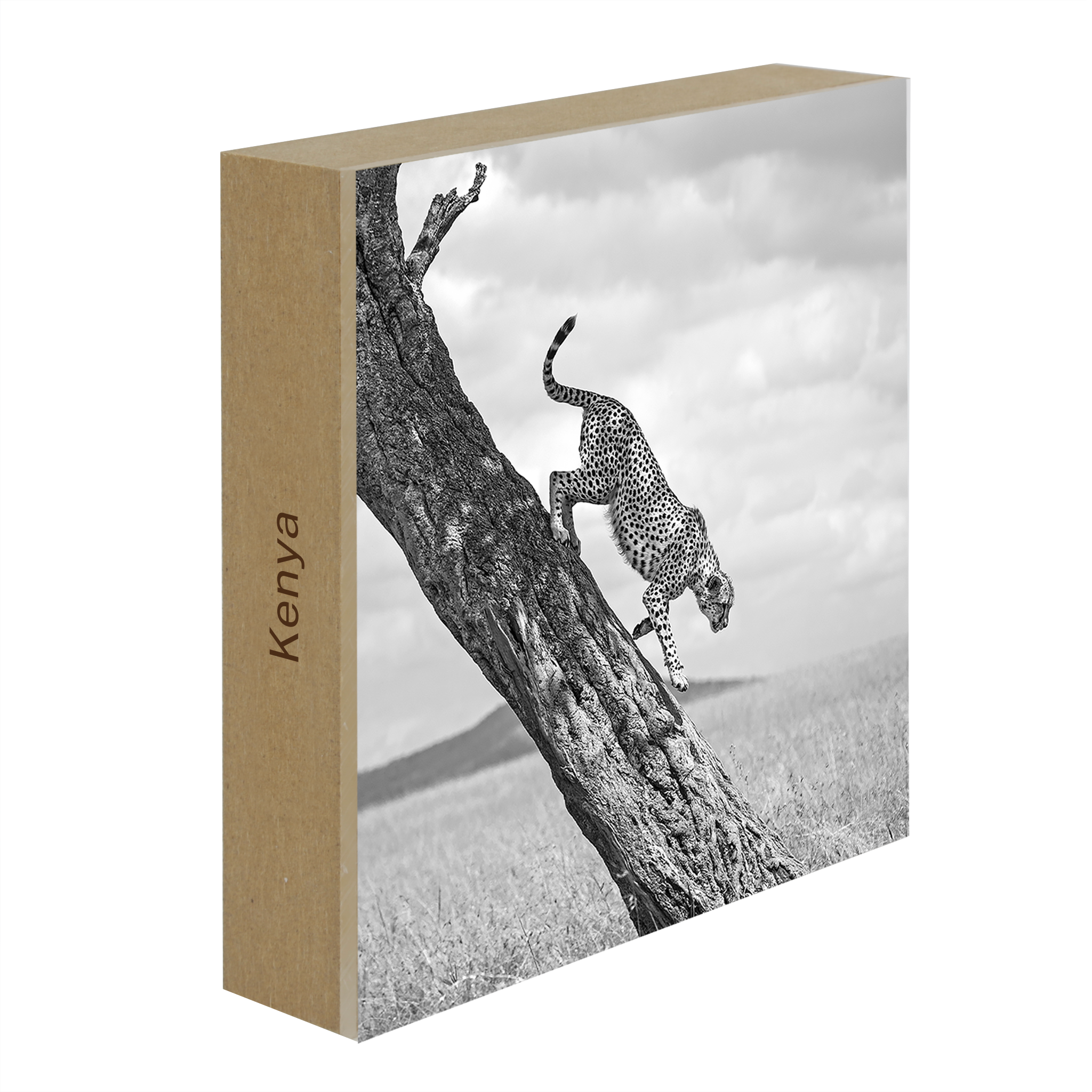 The Way Down- Collection: Kenya