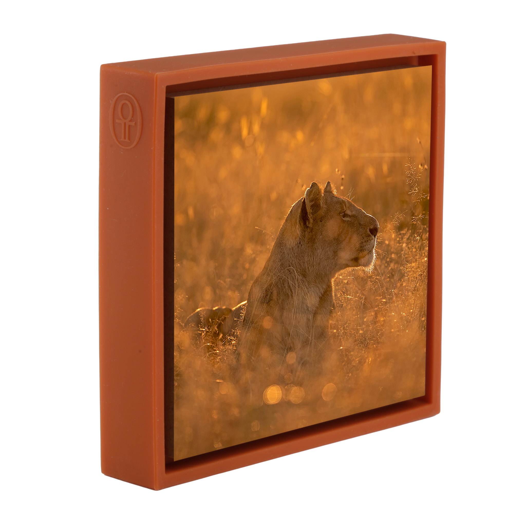 In her Element- Orange Wrapp