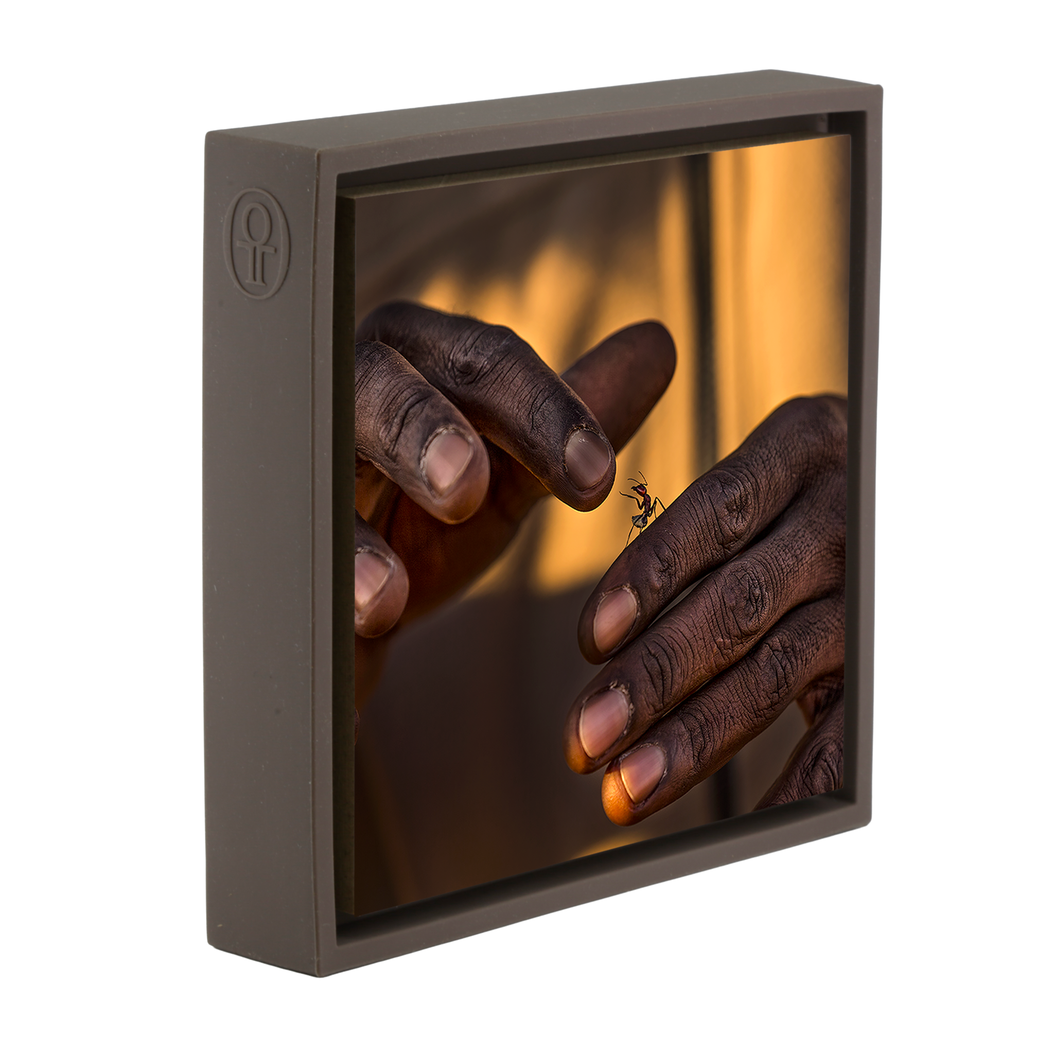 Shake Hands- Brown Wrapp