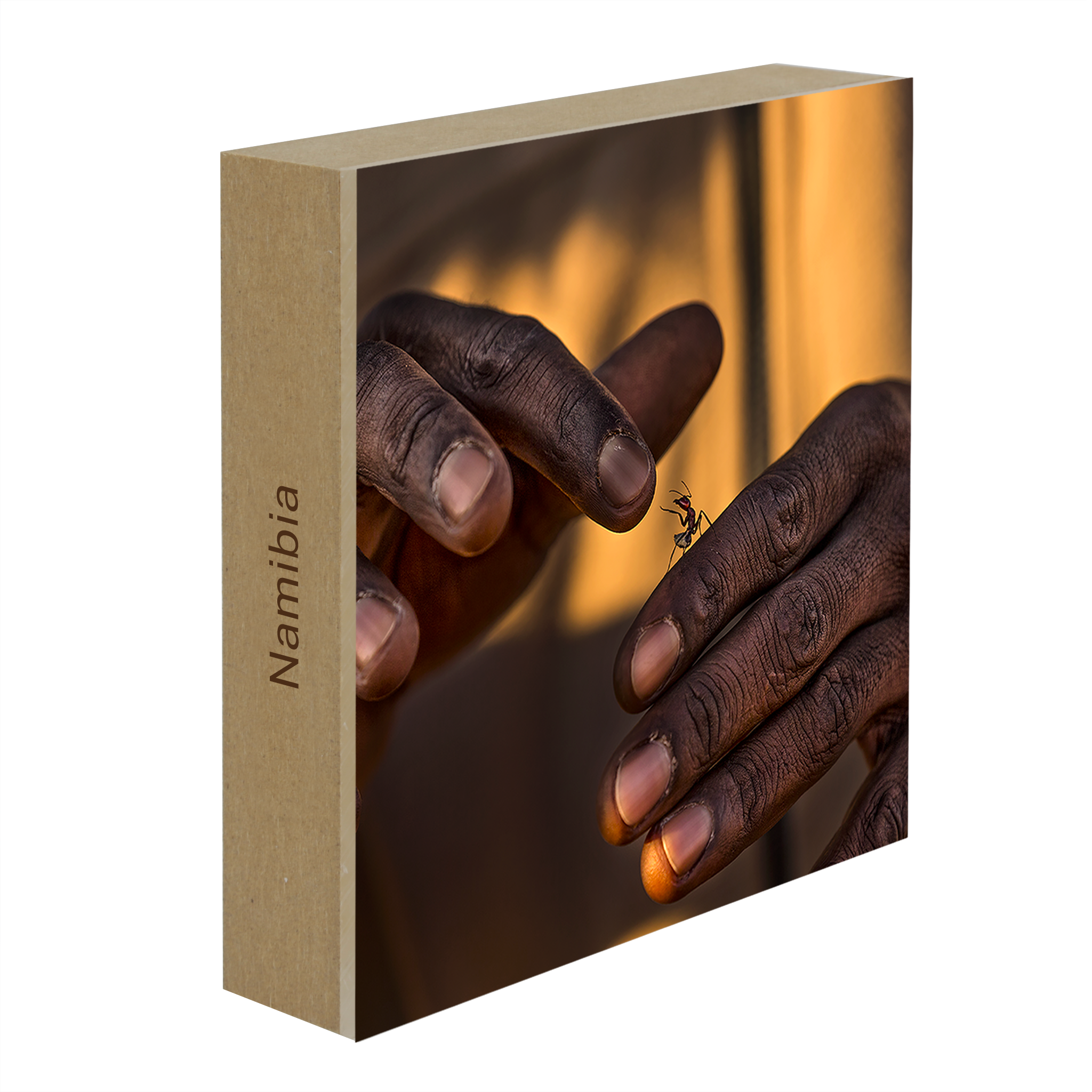 Shake Hands- Collection: Namibia