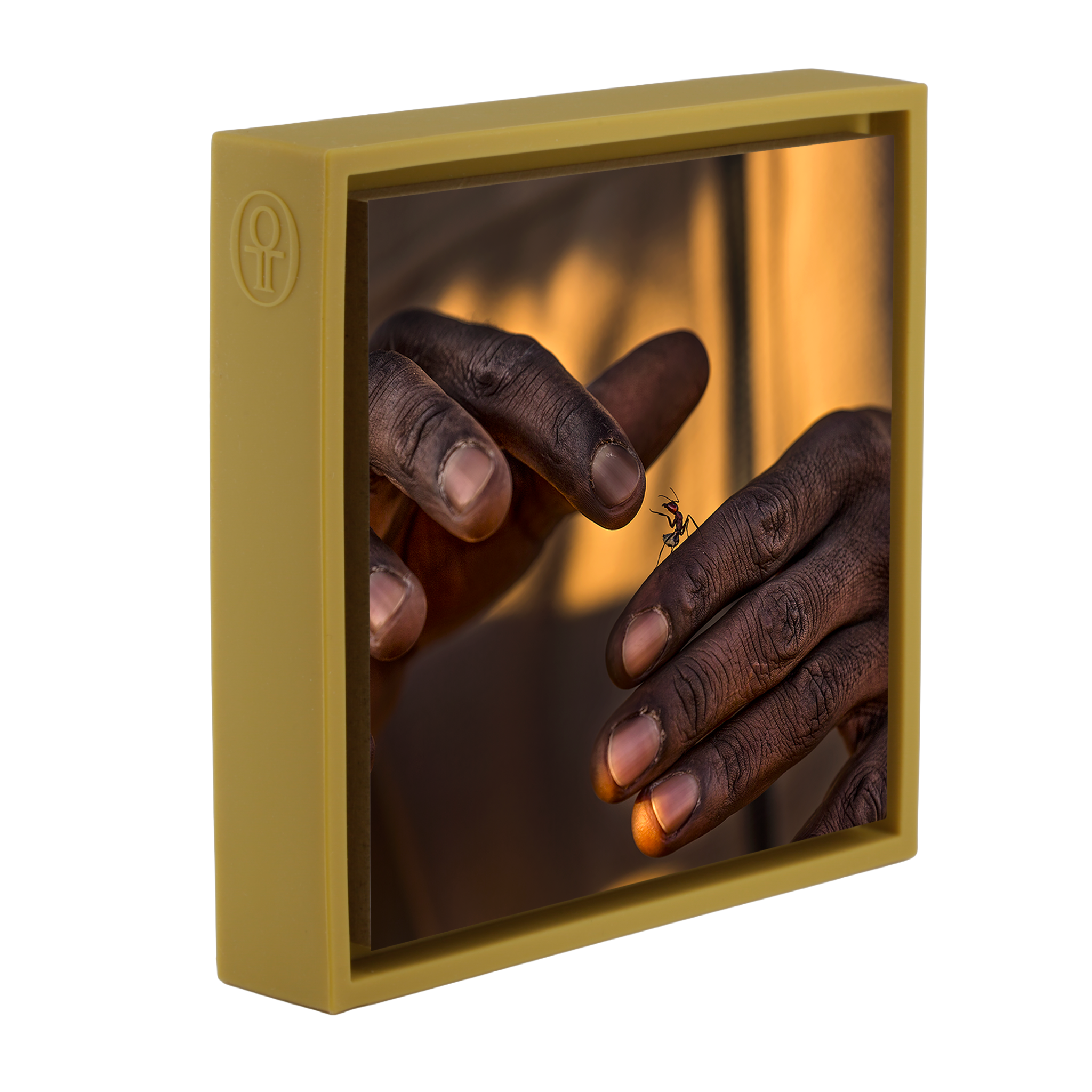 Shake Hands- Ochre Wrapp