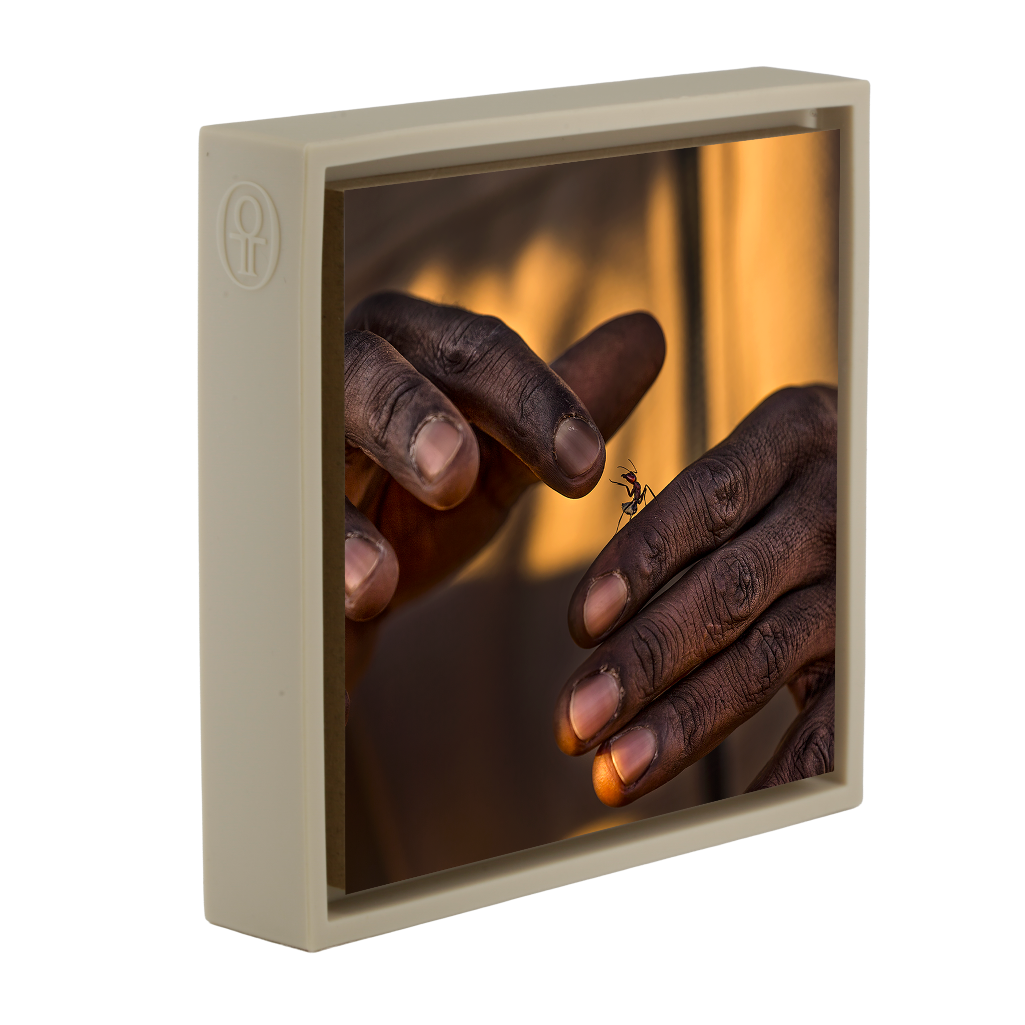 Shake Hands- Sand Wrapp