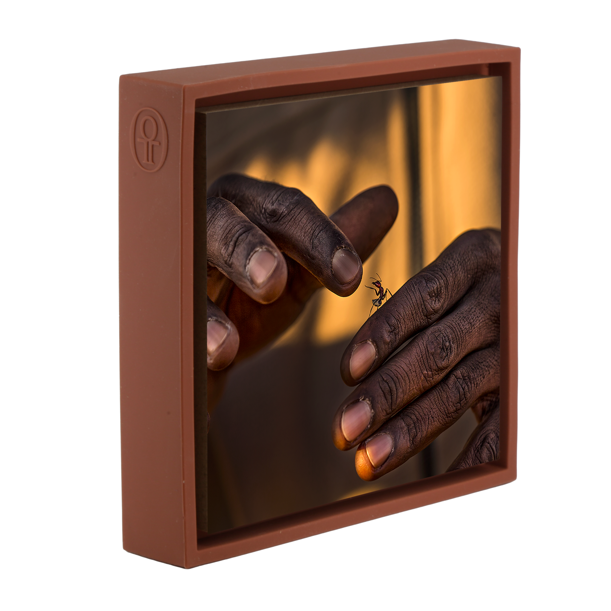 Shake Hands- Terra Wrapp