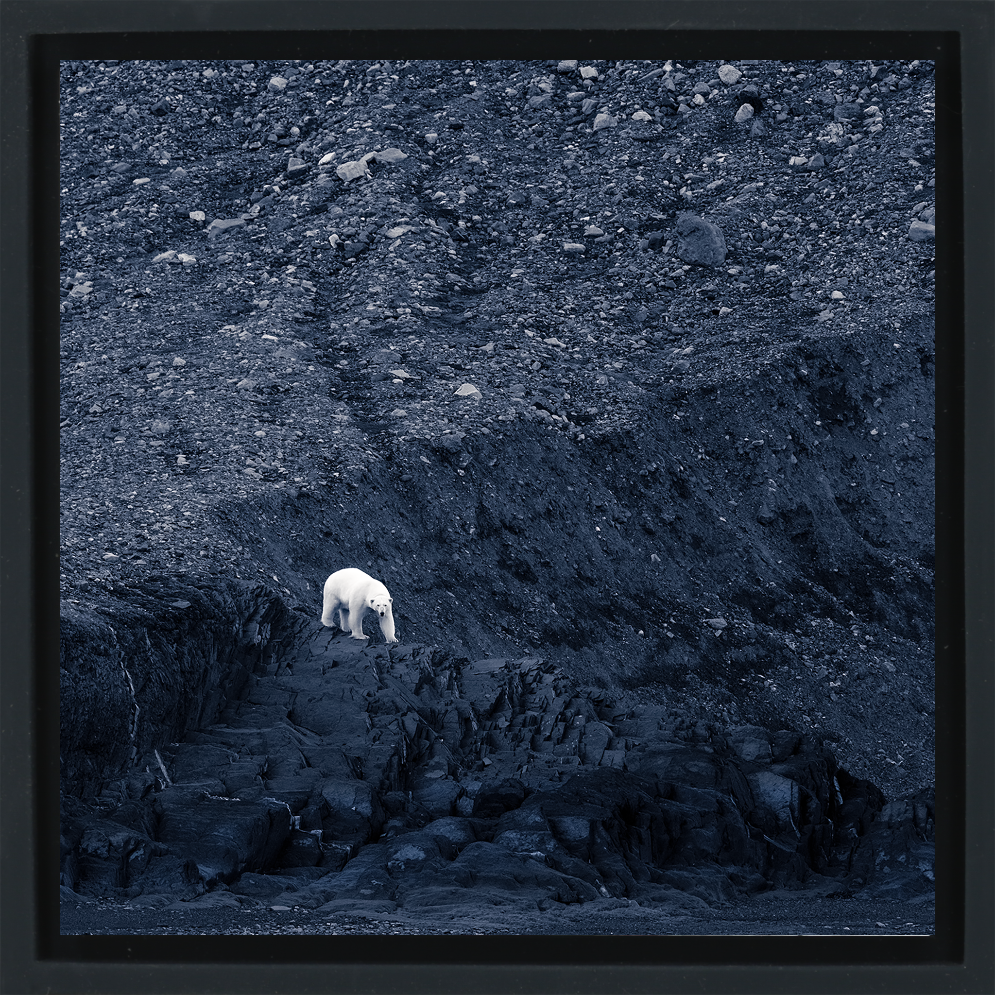 Waiting for Winter- Black Wrapp