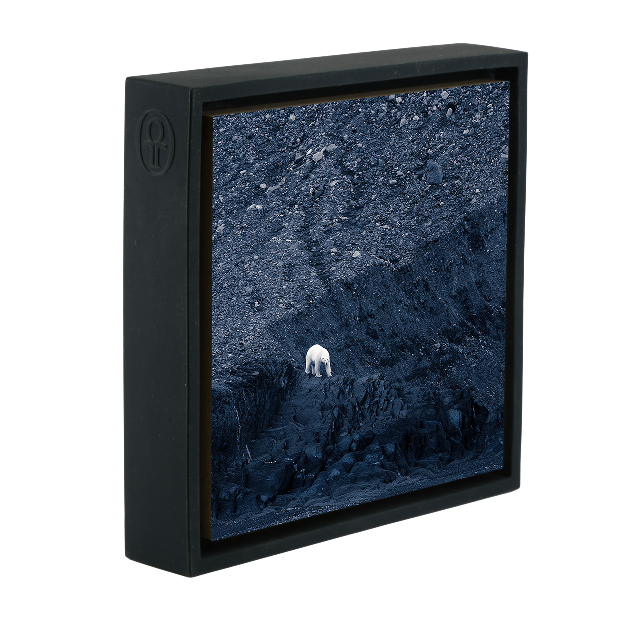 Waiting for Winter- Black Wrapp