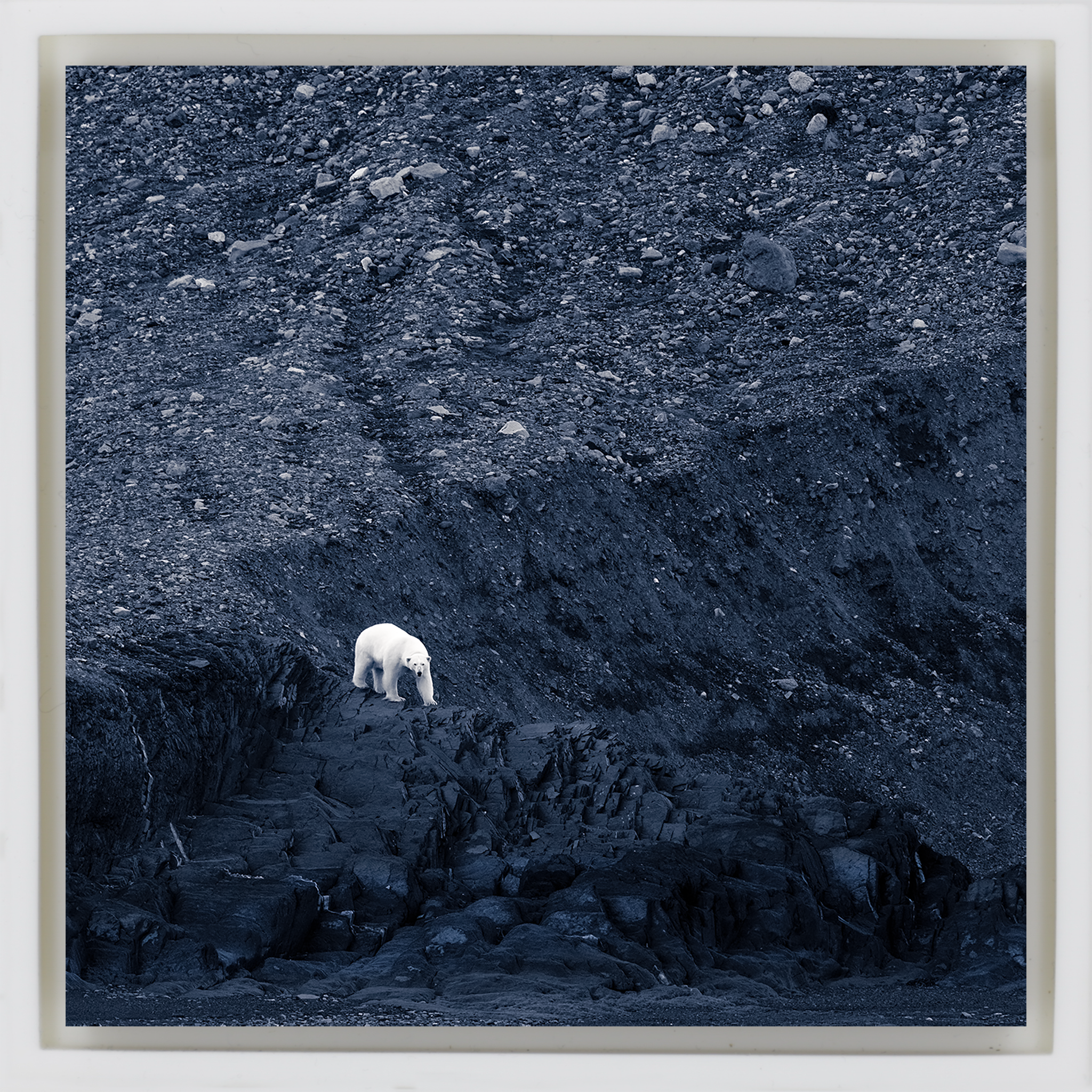 Waiting for Winter- White Wrapp