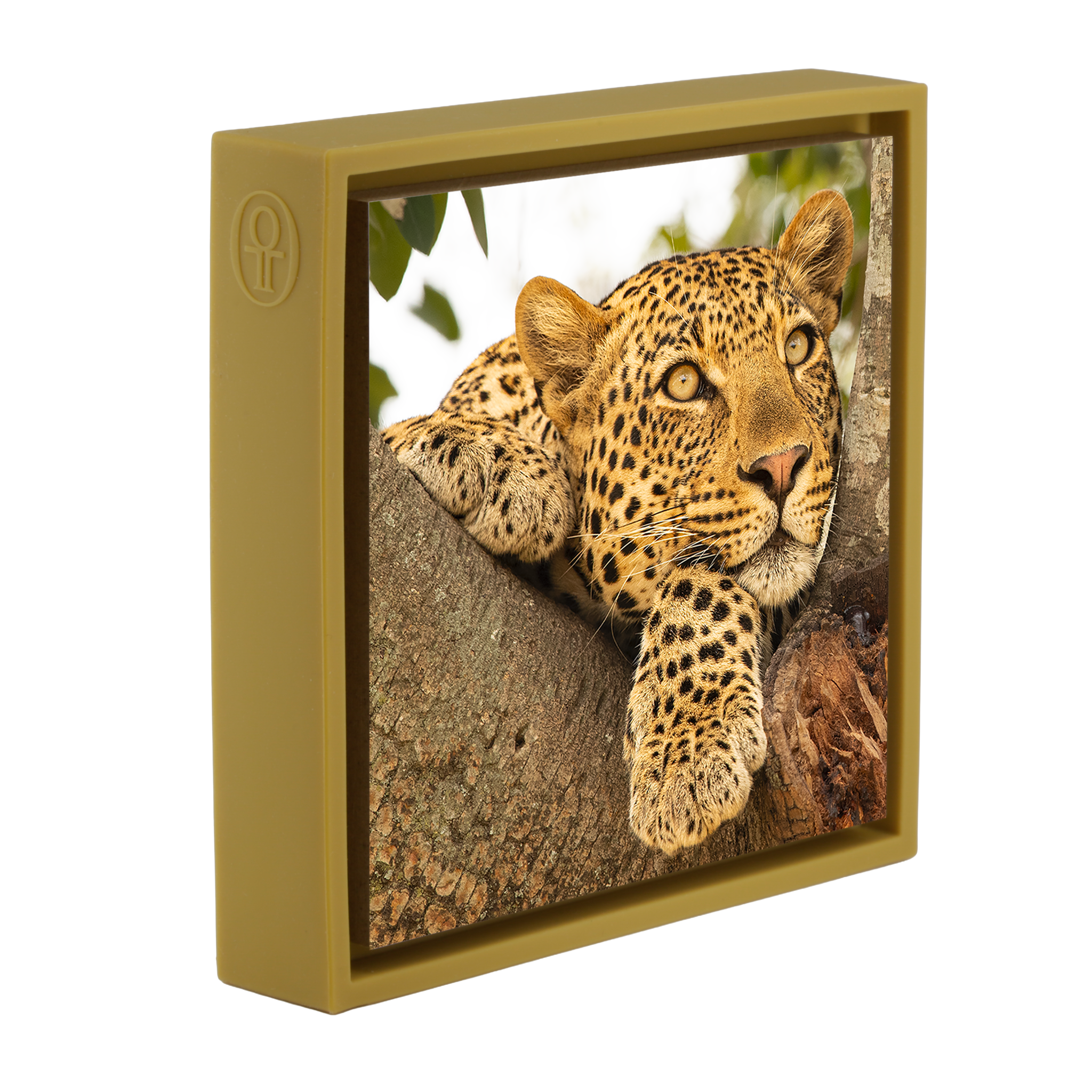Serengeti Sunday- Ochre Wrapp