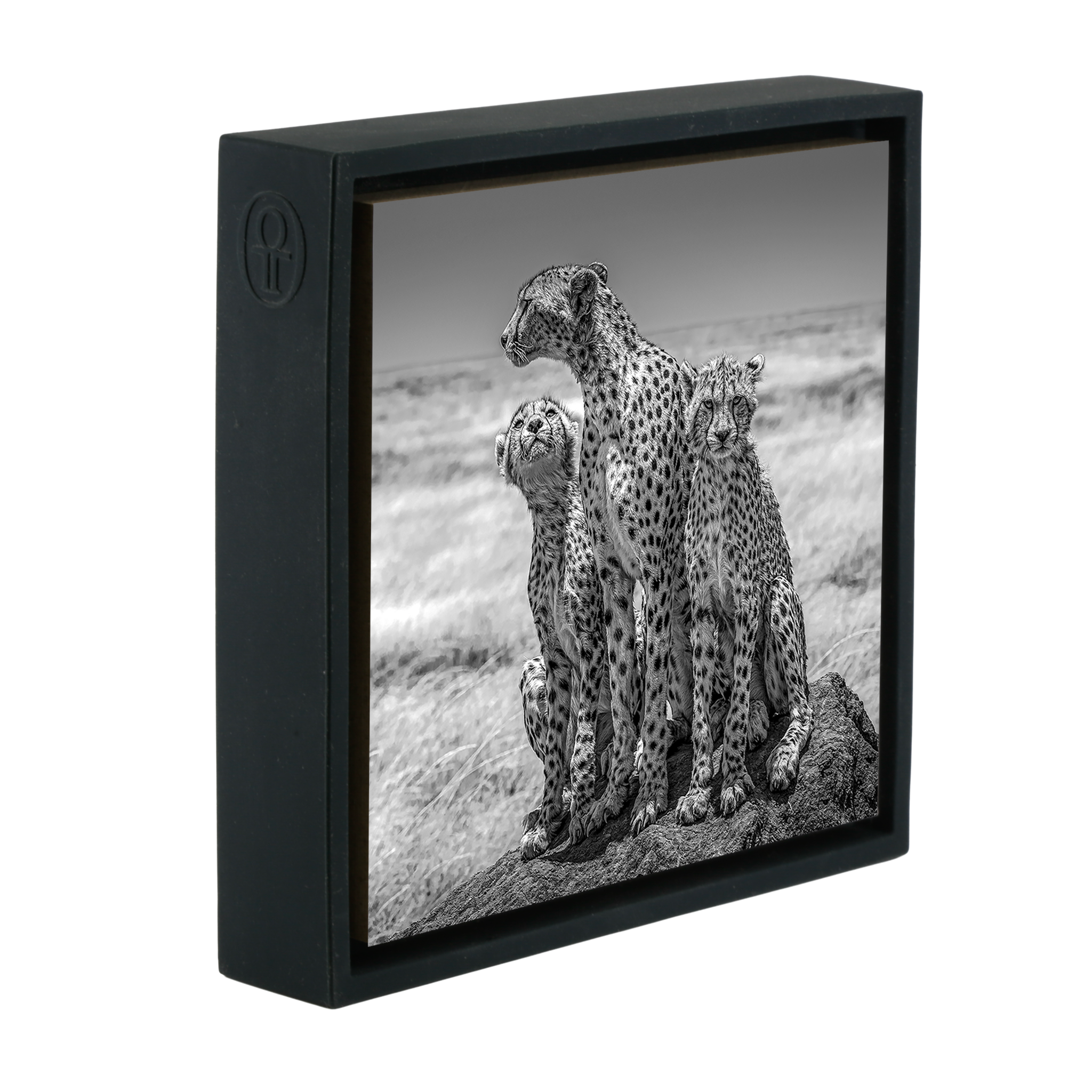 The Lookout- Black Wrapp