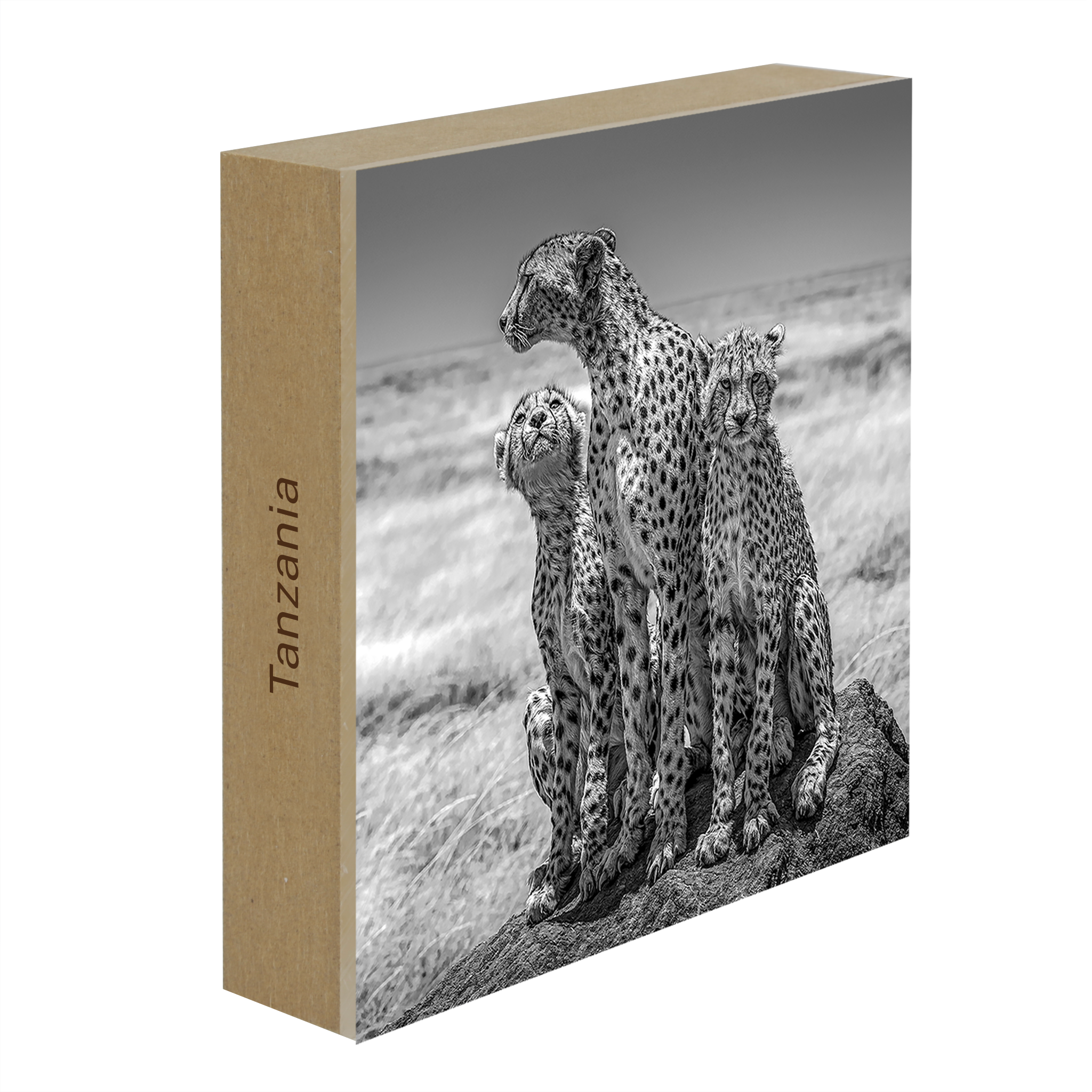 The Lookout- Collection: Tanzania