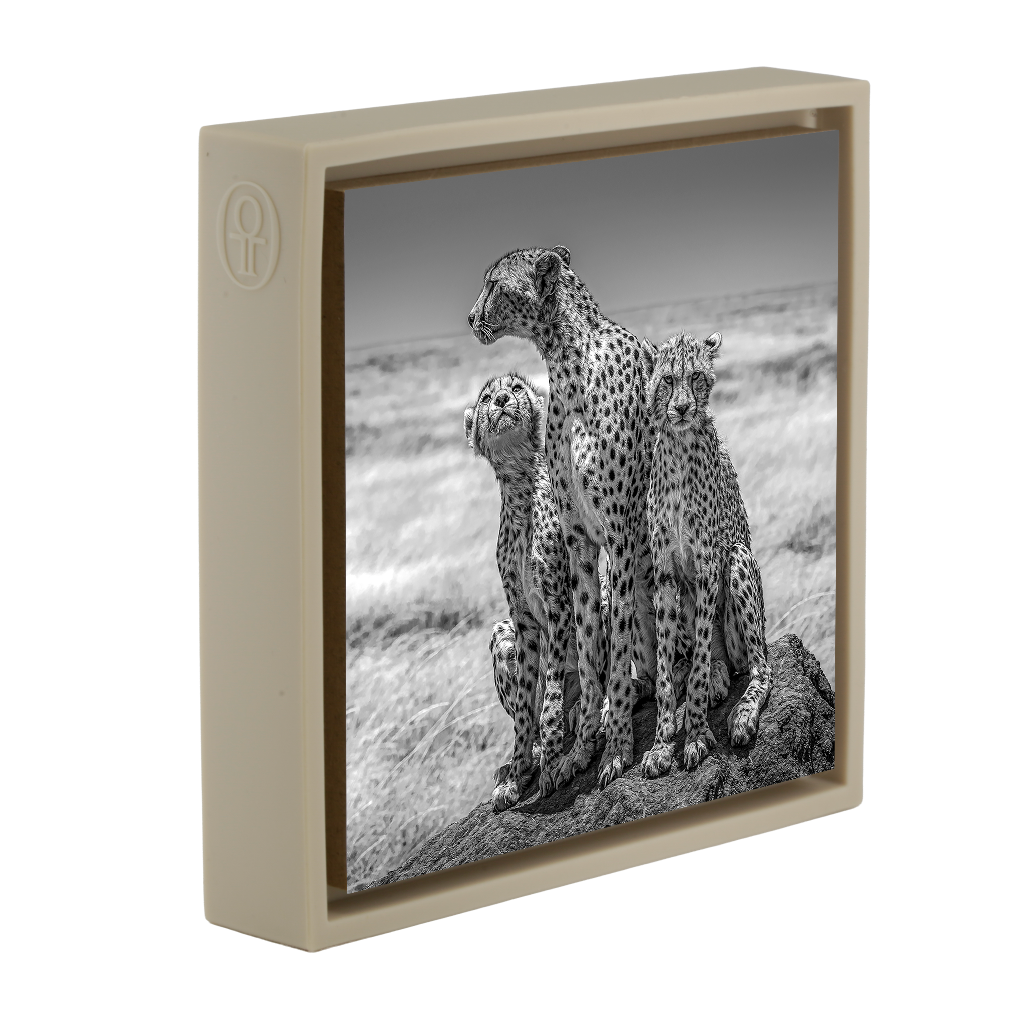 The Lookout- Sand Wrapp