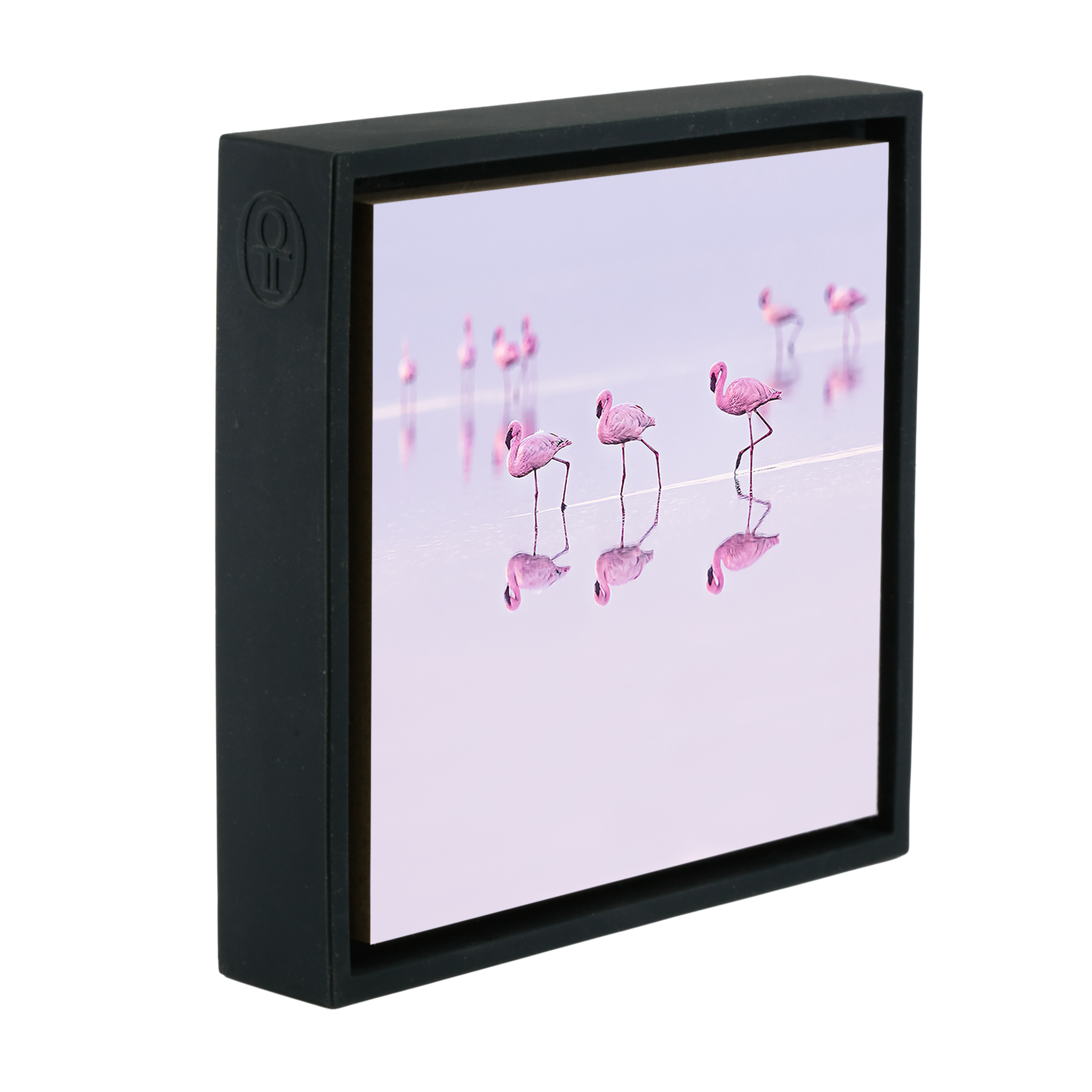 Natron Pastel Waters- Black Wrapp