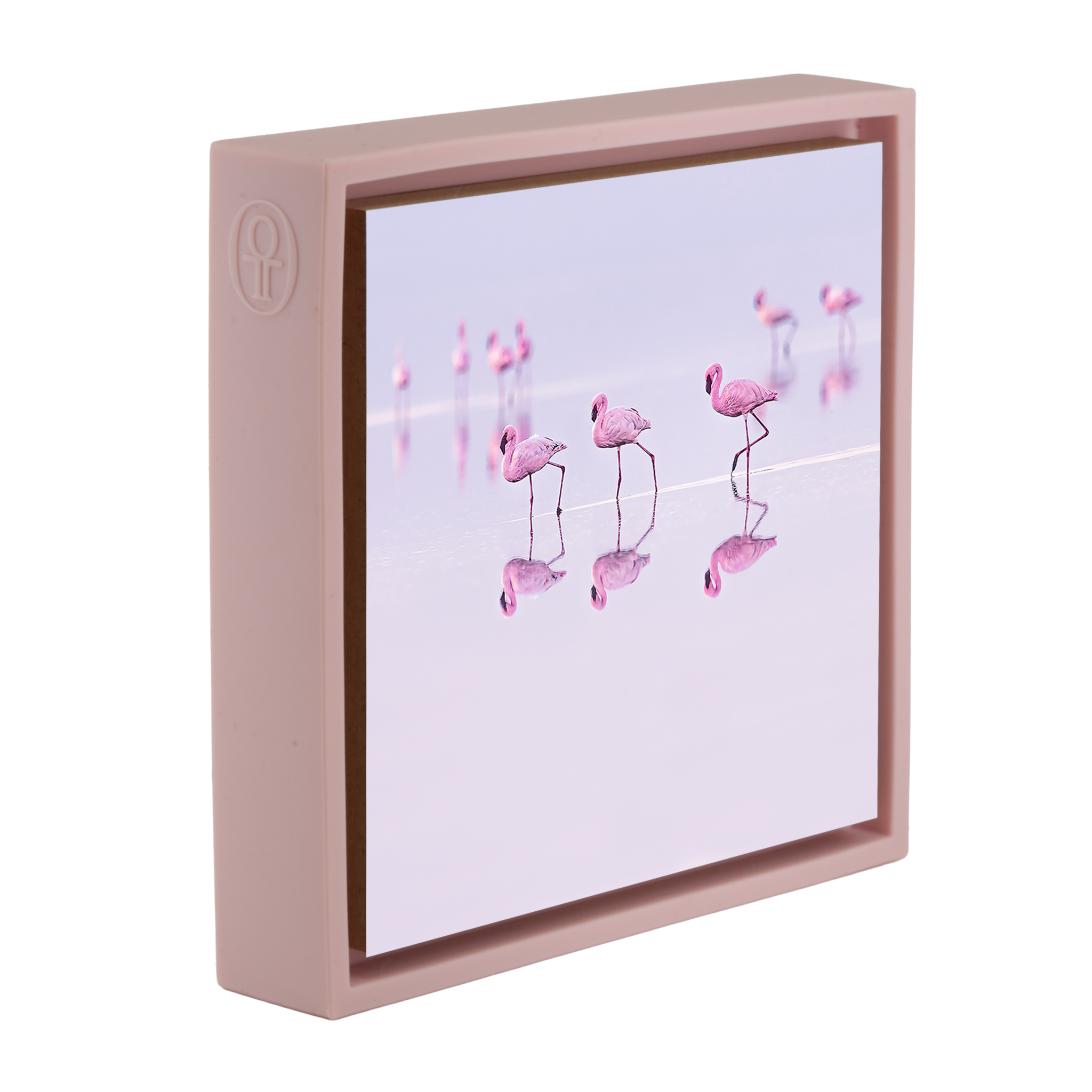 Natron Pastel Waters- Pink Wrapp