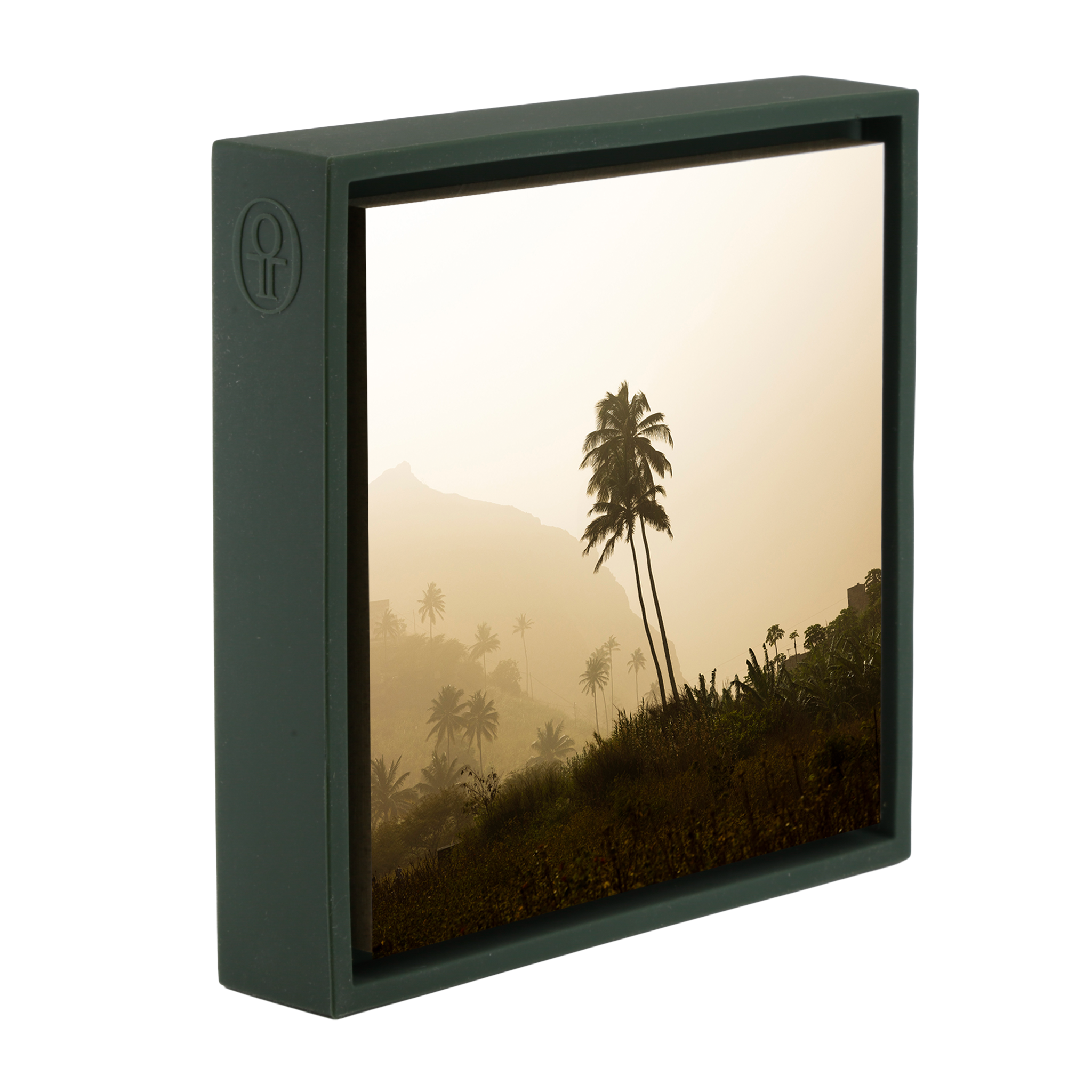 Palm Tree - Dark Green Wrapp