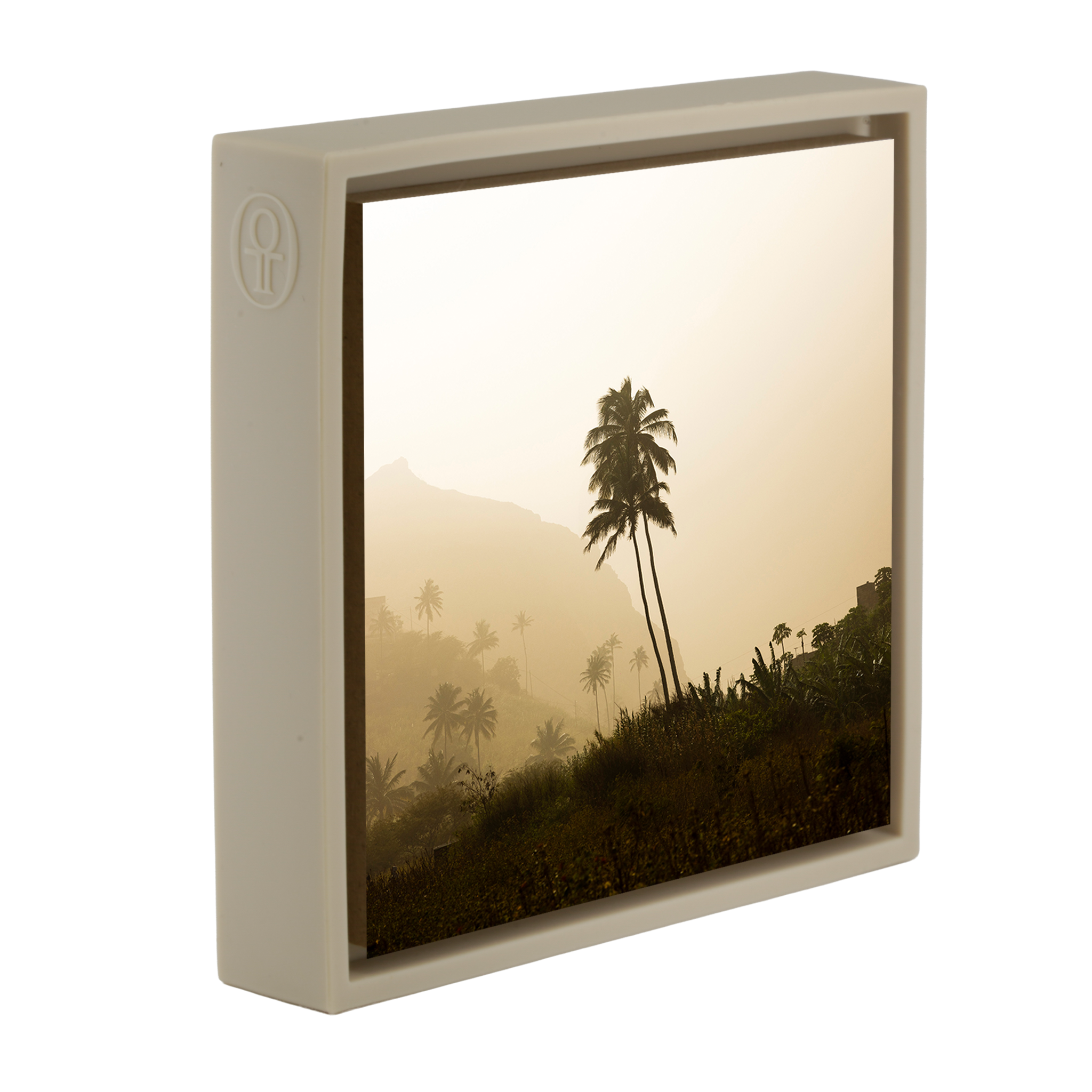 Palmier - Emballage sable