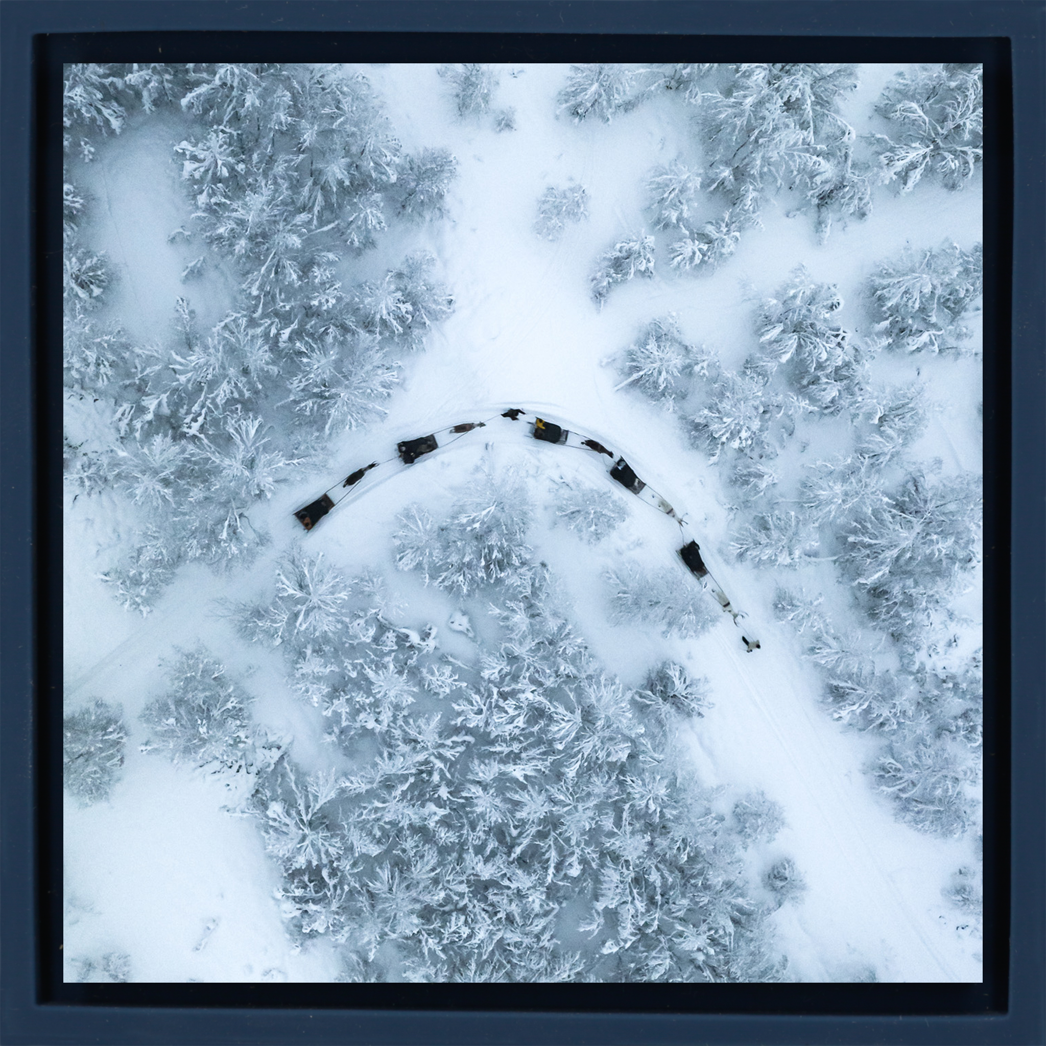 Traîneau à chiens - Couverture bleu foncé