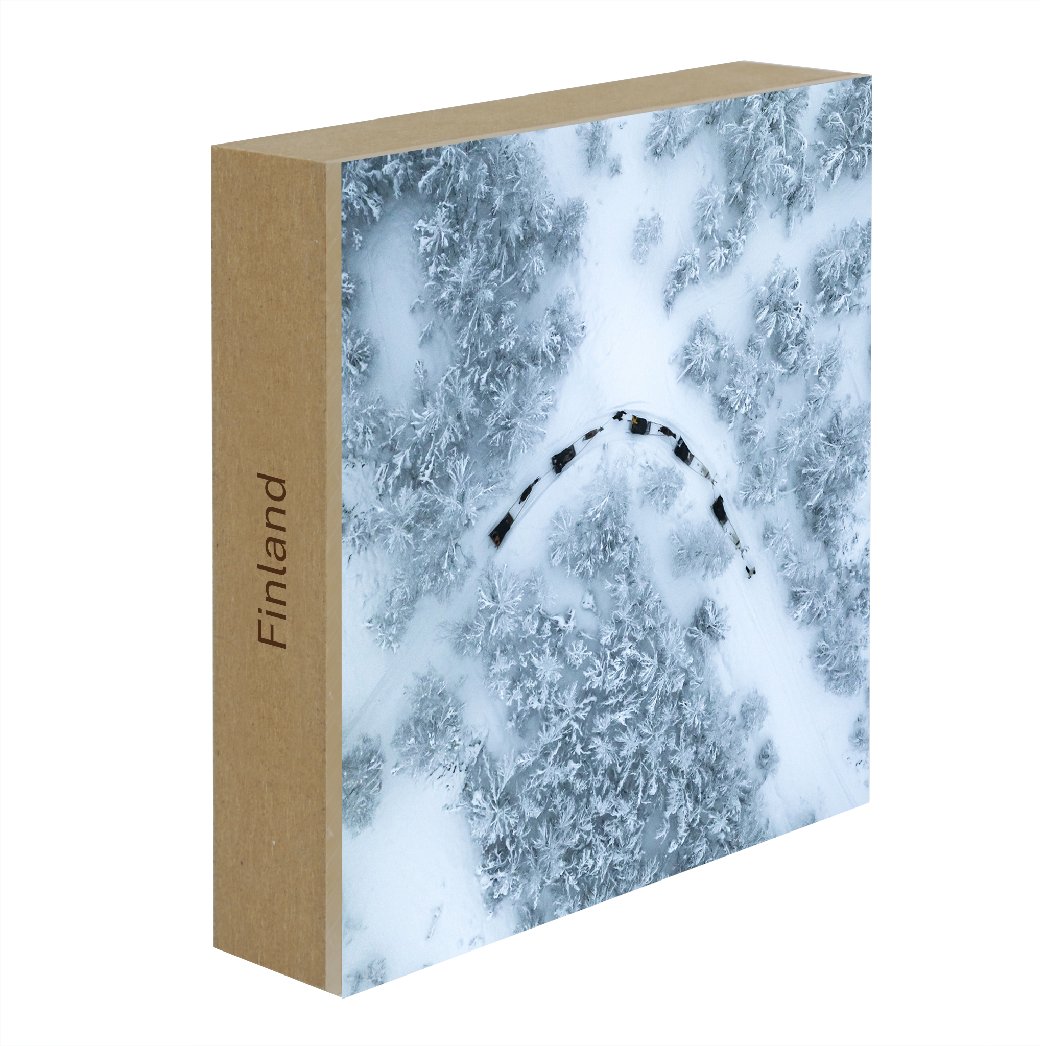 Dog Sled - Collection: Finland