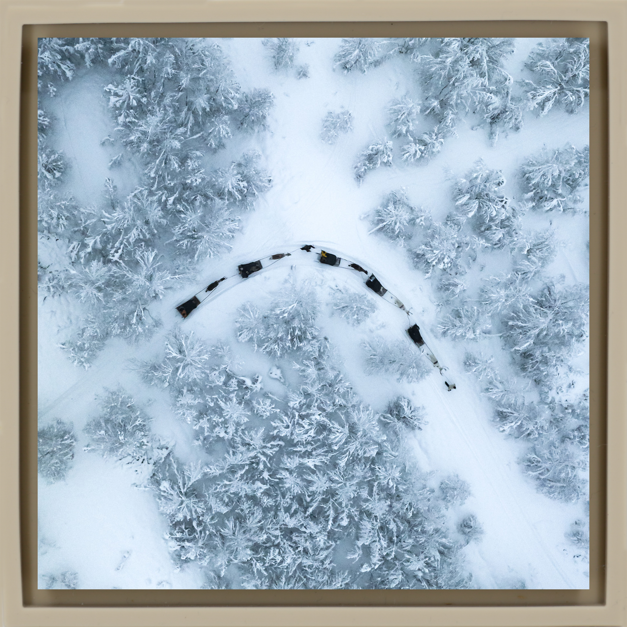 Traîneau à chiens - Sand Wrapp