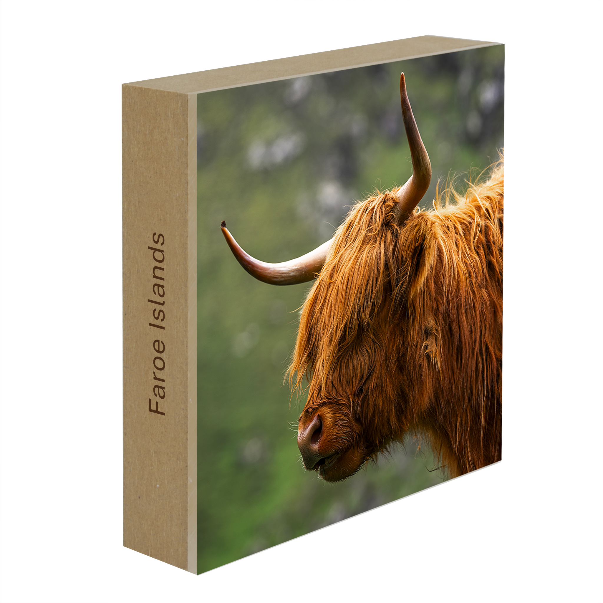 Faroe Highland- Collection: Faroer Islands