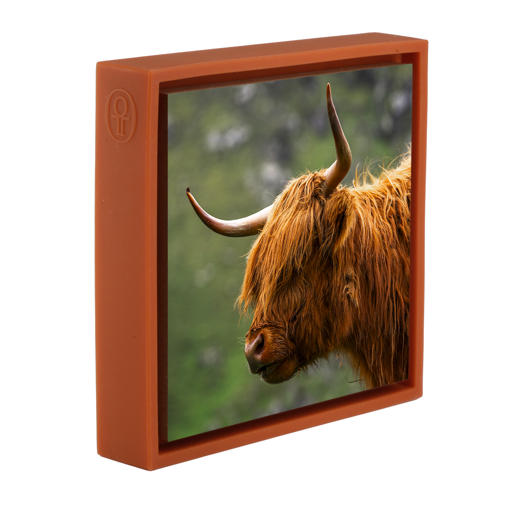 Faroe Highland- Orange Wrapp