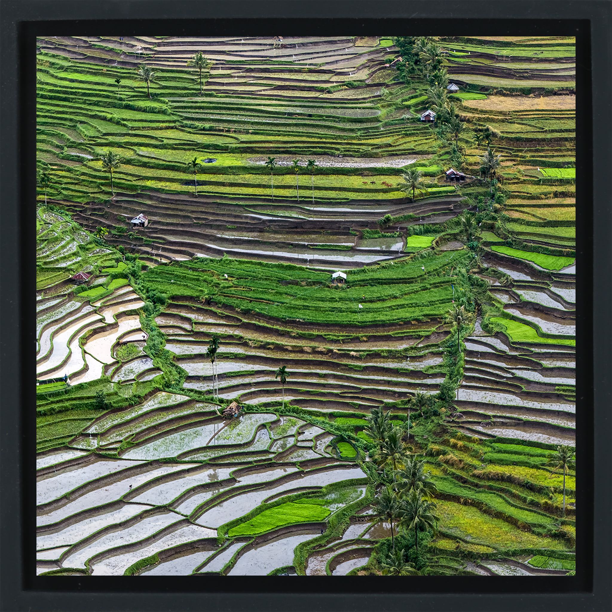 Layers of Lombok- Black Wrapp