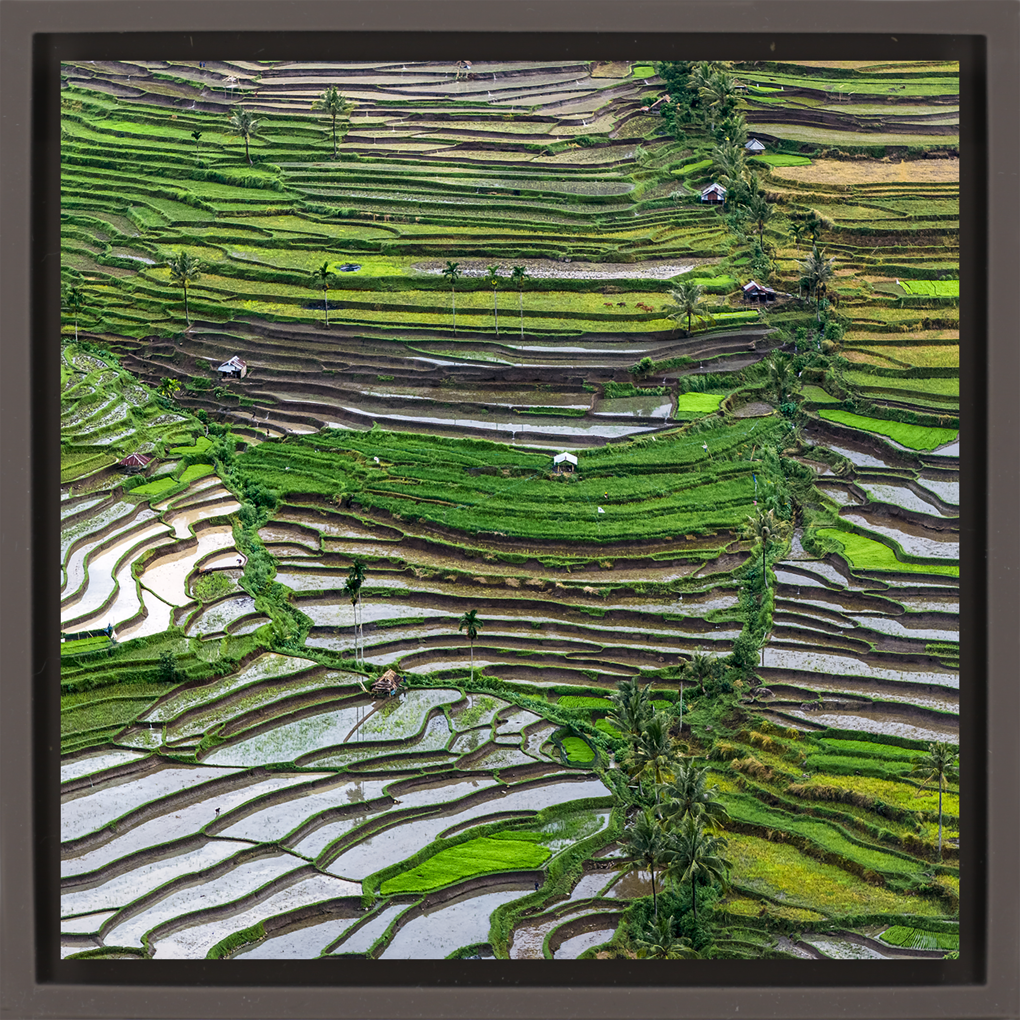 Layers of Lombok- Brown Wrapp