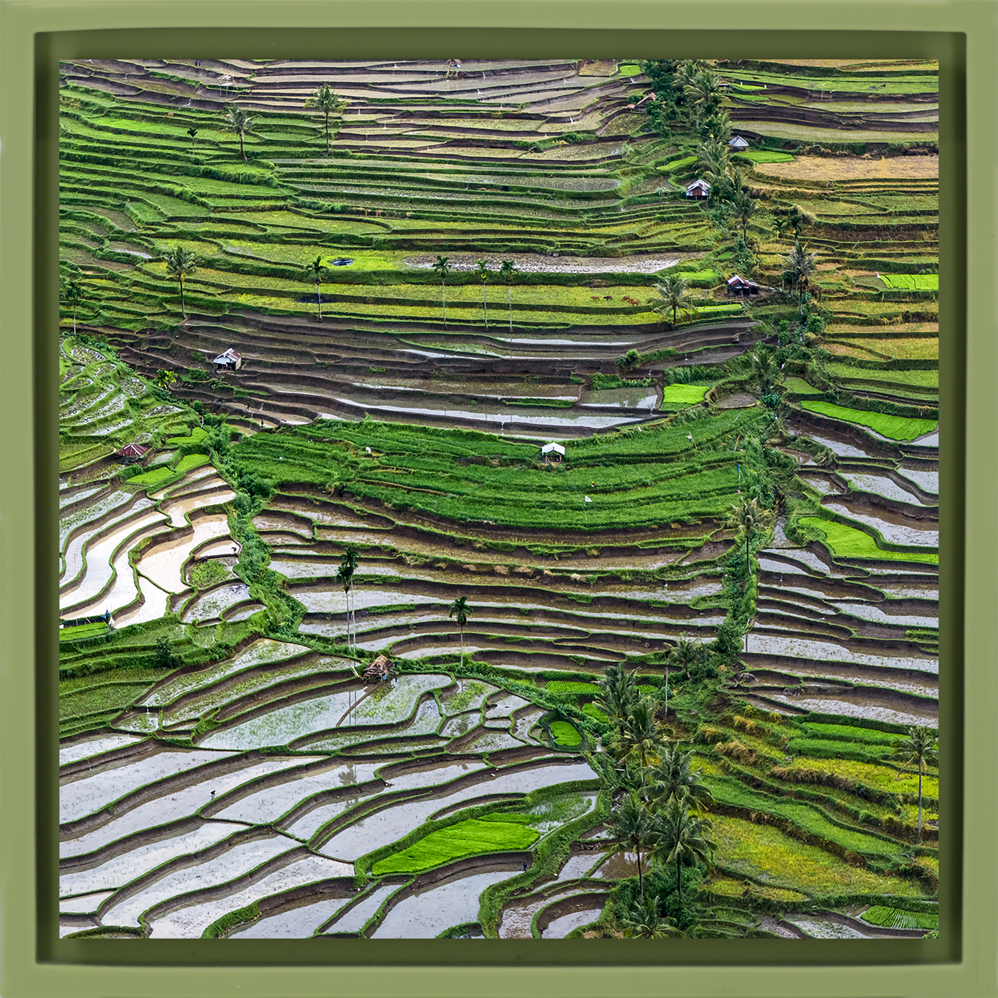 Layers of Lombok- Light Green Wrapp