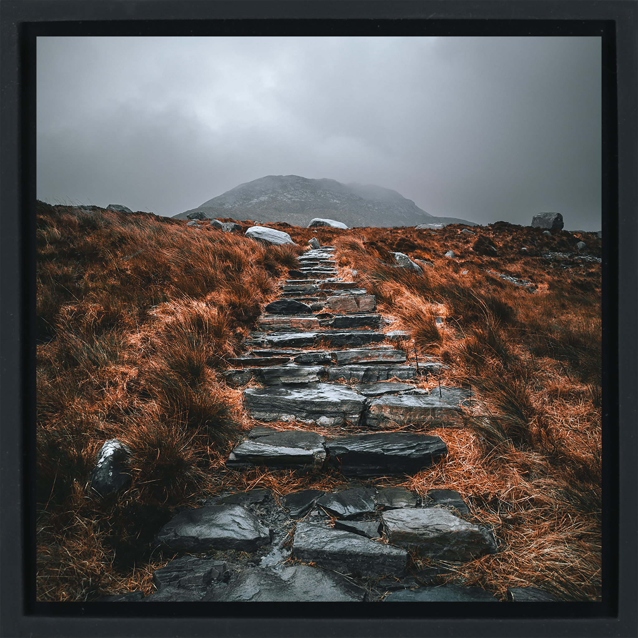 Irish Autumn Trails- Black Wrapp