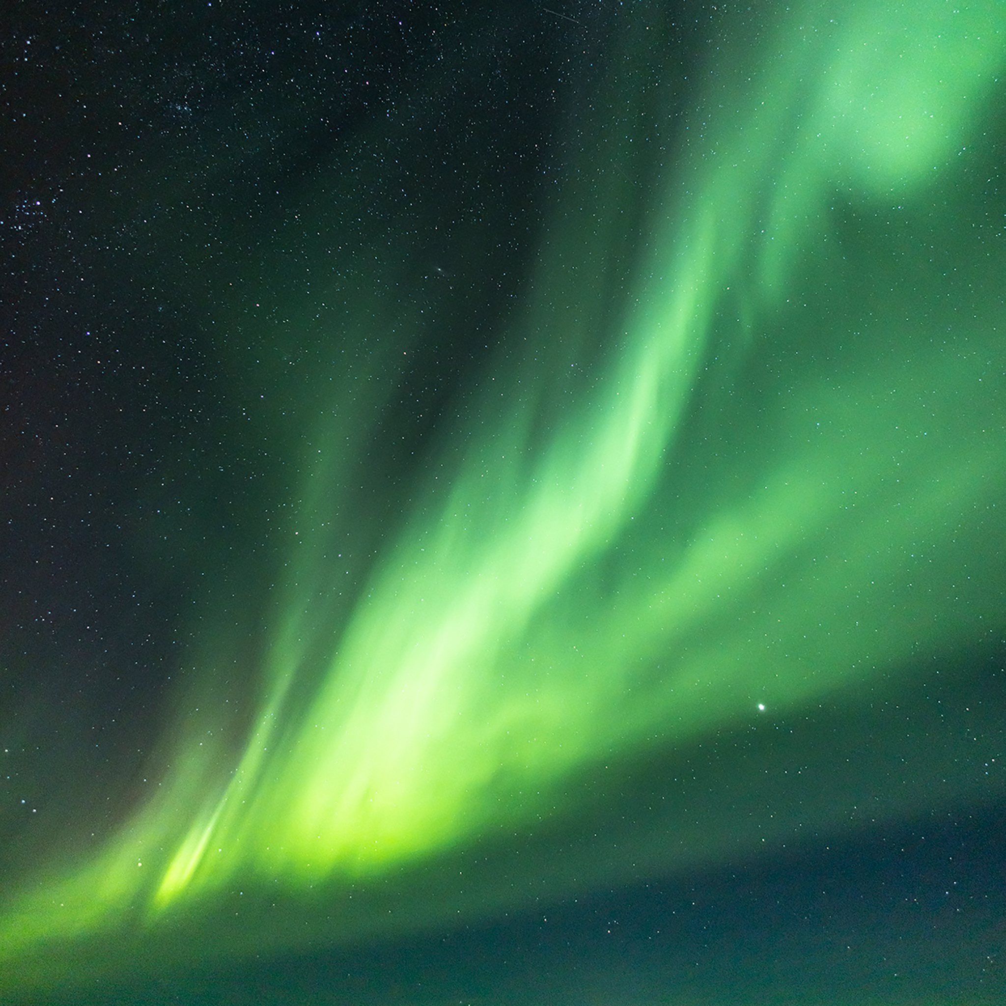 Dancing with the Stars- Collection: Iceland