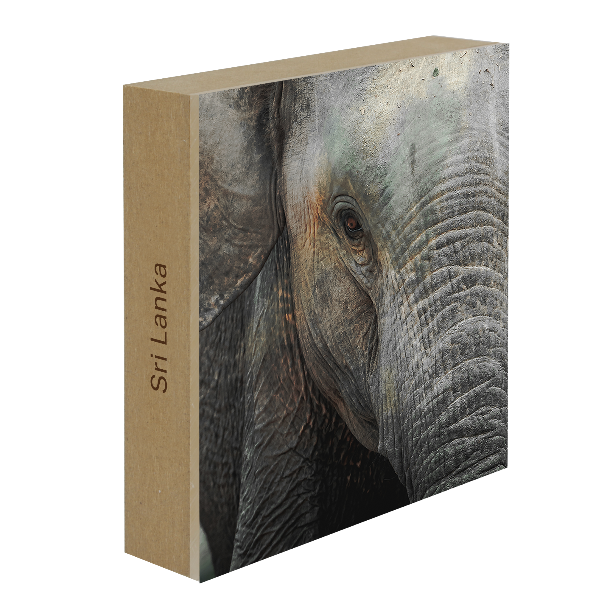 Eye of Wisdom- Collection: Sri Lanka