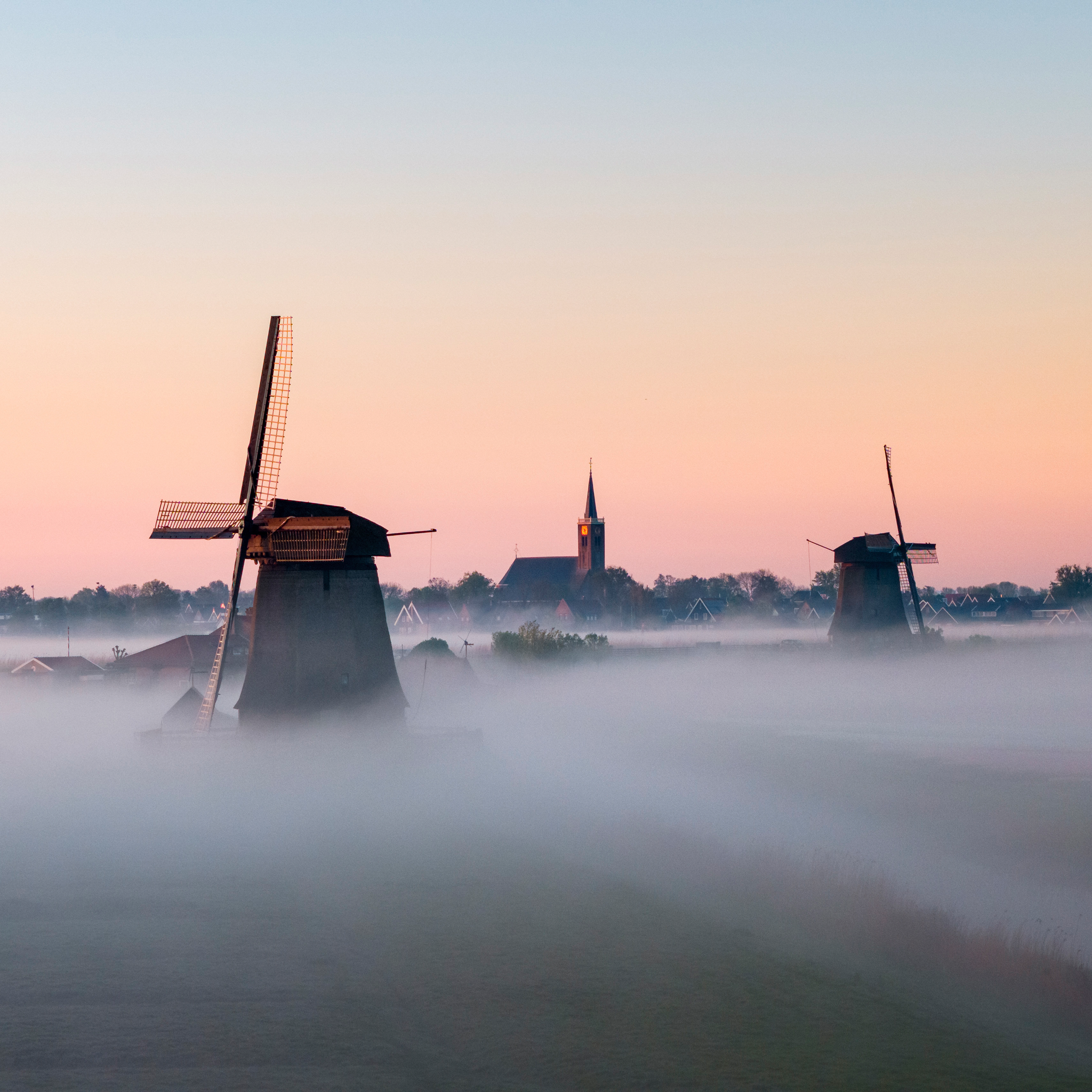 Dutch Morning Mist - Collection: The Netherlands