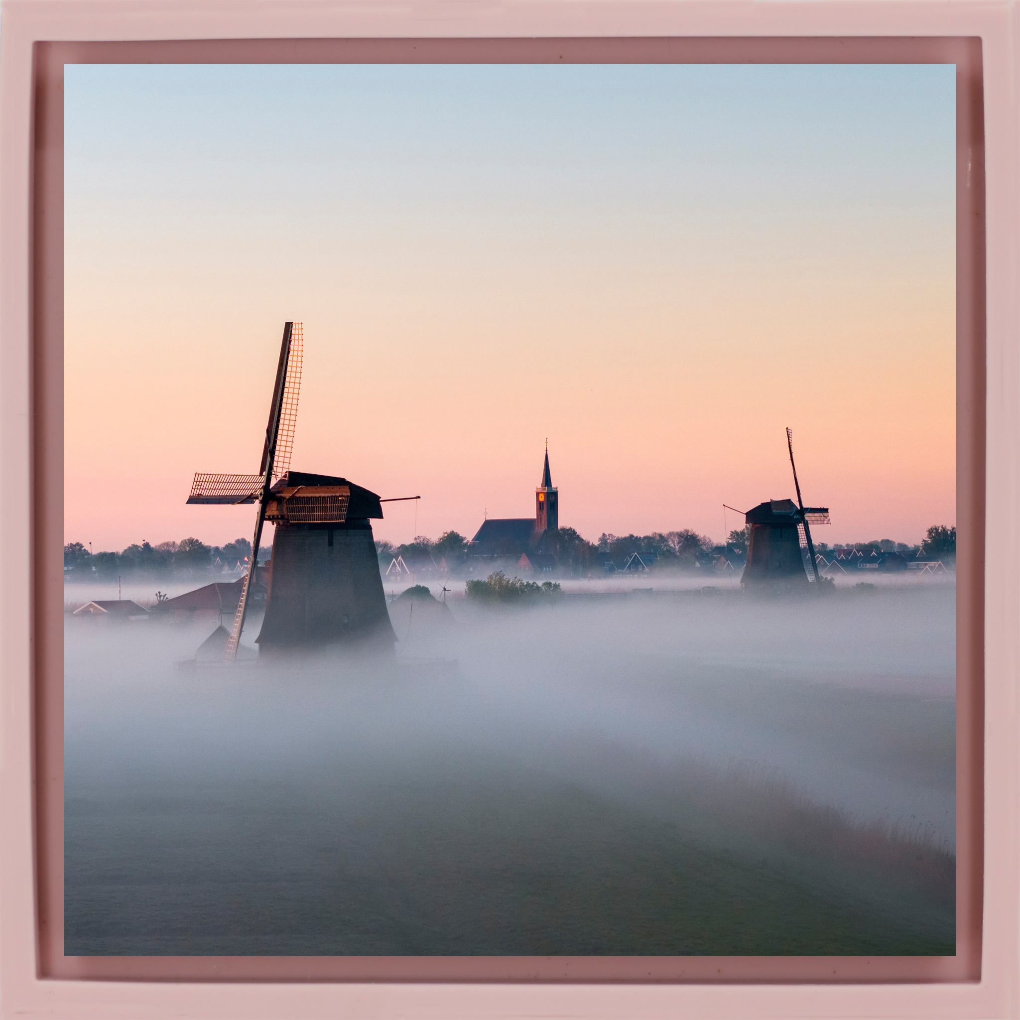 Dutch Morning Mist - Pink Wrapp