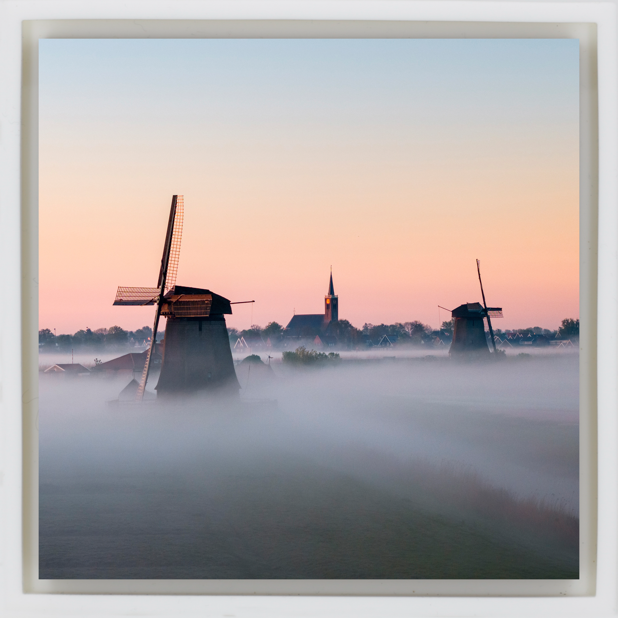 Dutch Morning Mist - White Wrapp