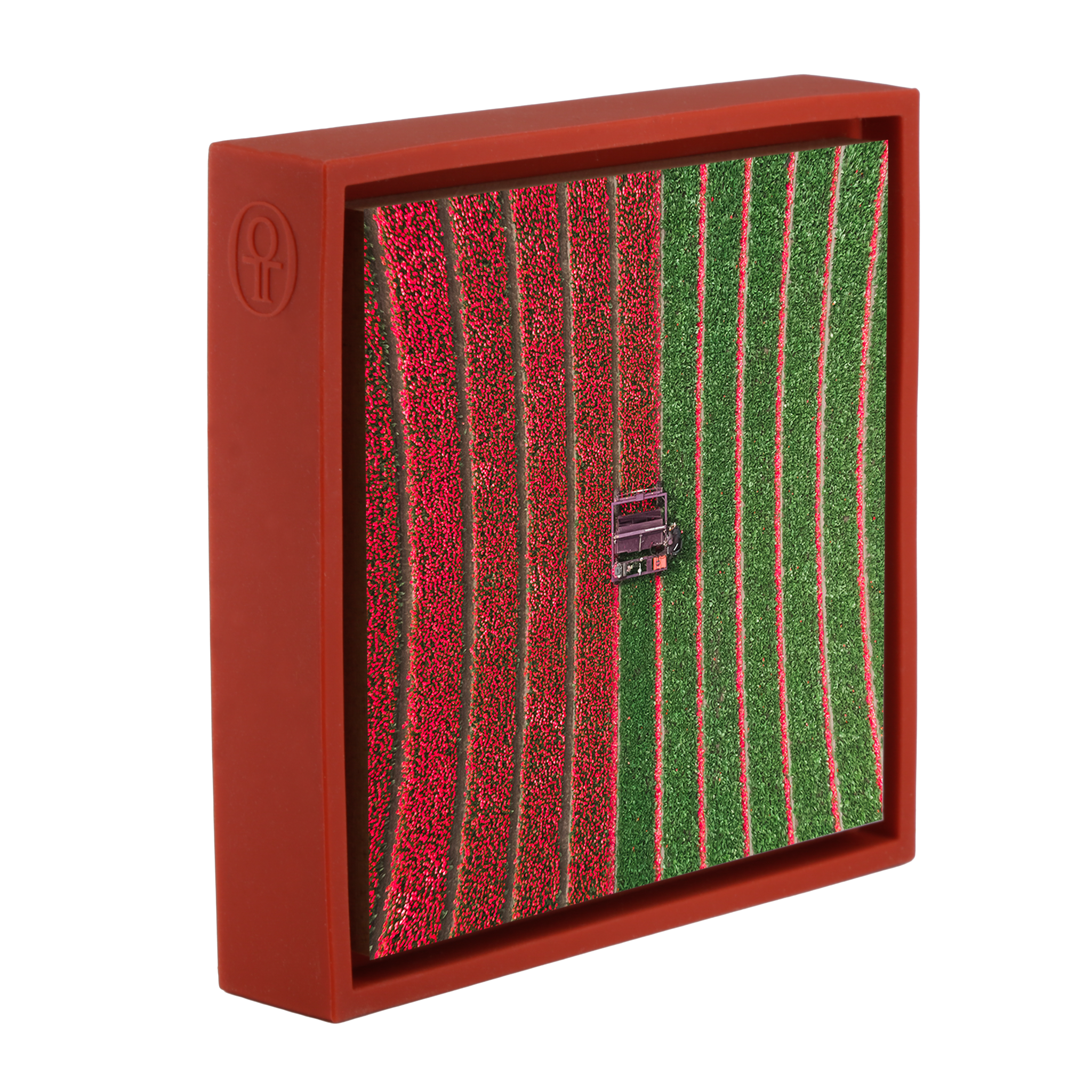 Champ de tulipes - Emballage rouge