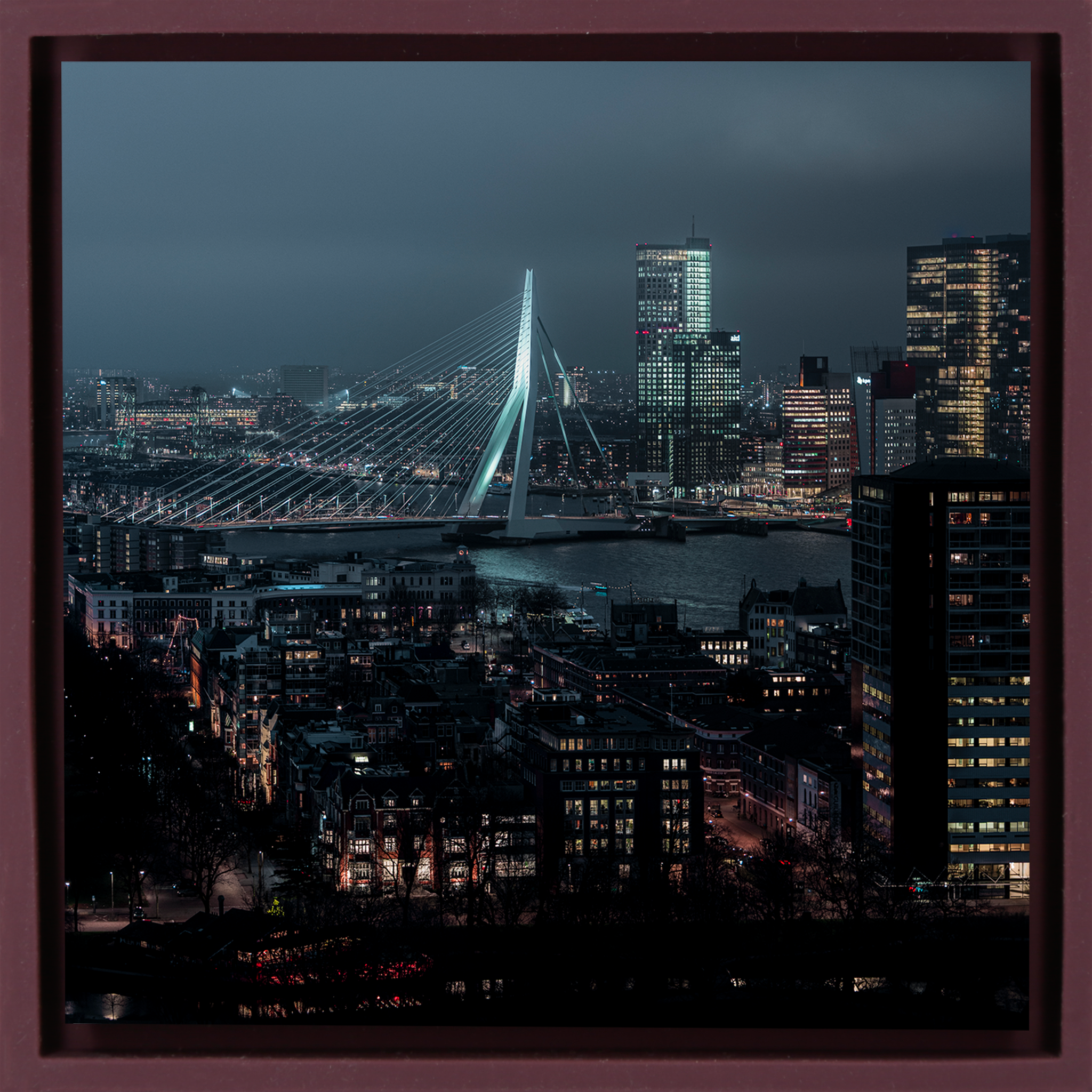 Midnight in Rotterdam - Paarse Wrapp