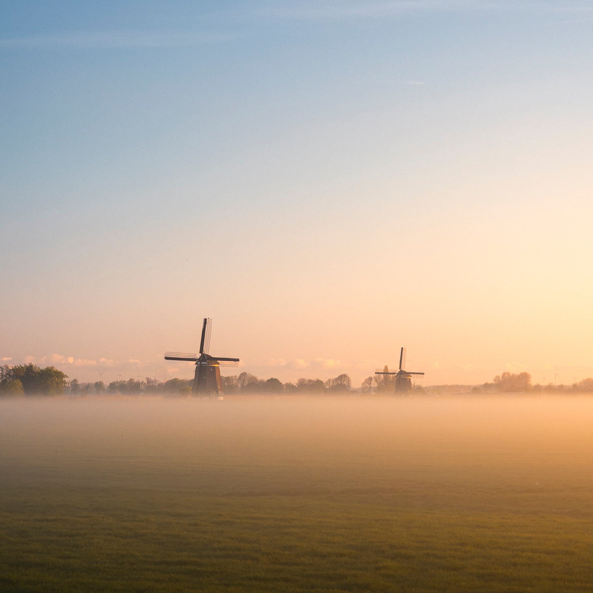 Whispers of Dawn- Collection: The Netherlands