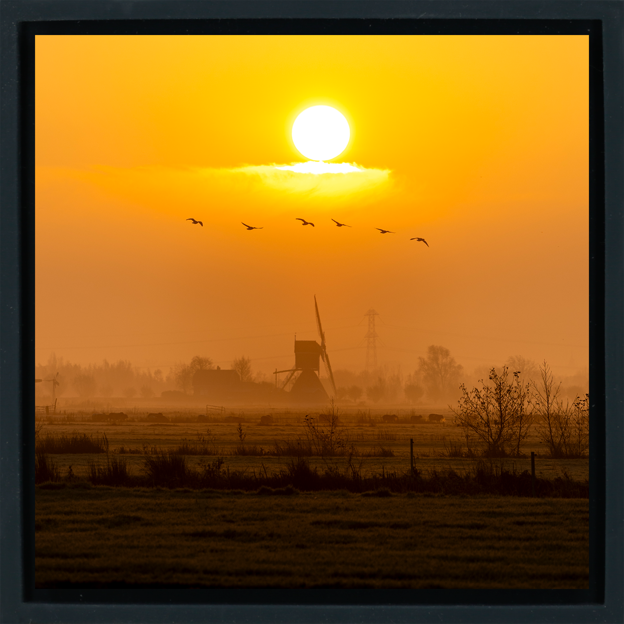 Golden Solitude- Black Wrapp