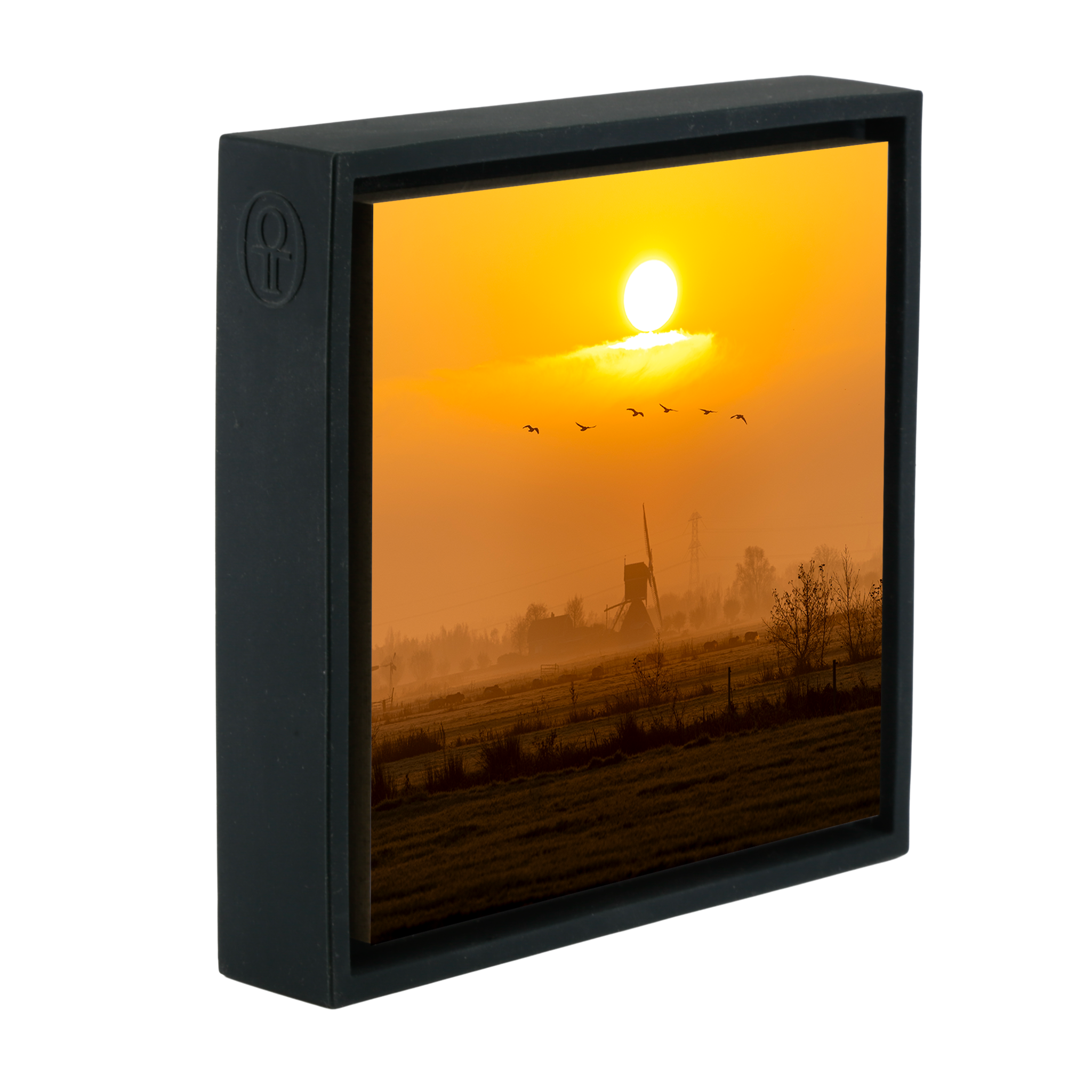 Golden Solitude- Black Wrapp
