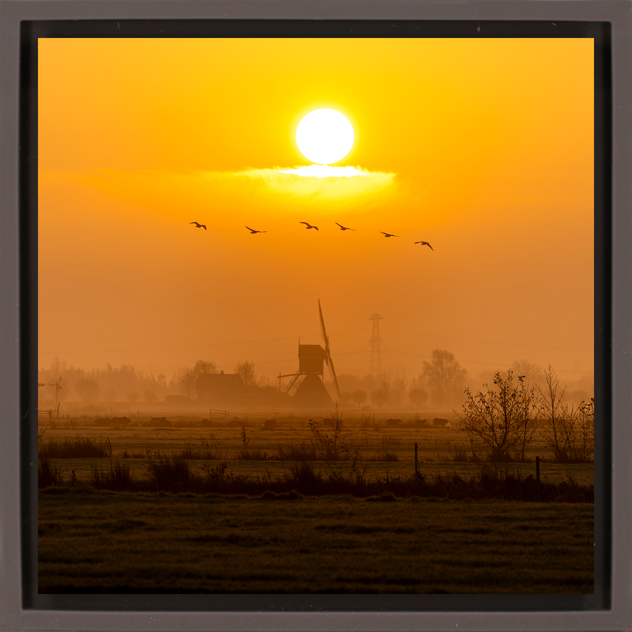 Golden Solitude- Brown Wrapp