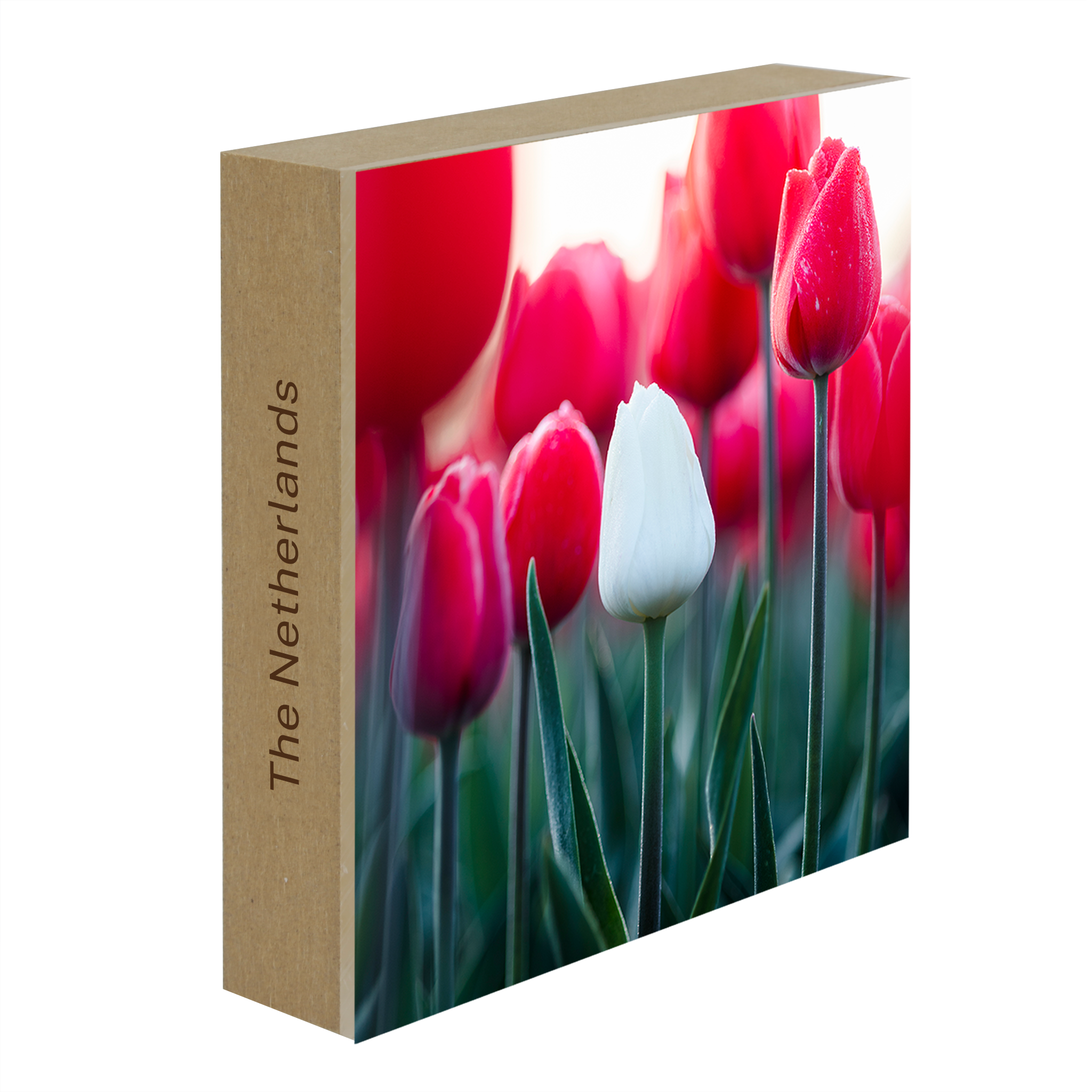 Standing Out- Collection: The Netherlands