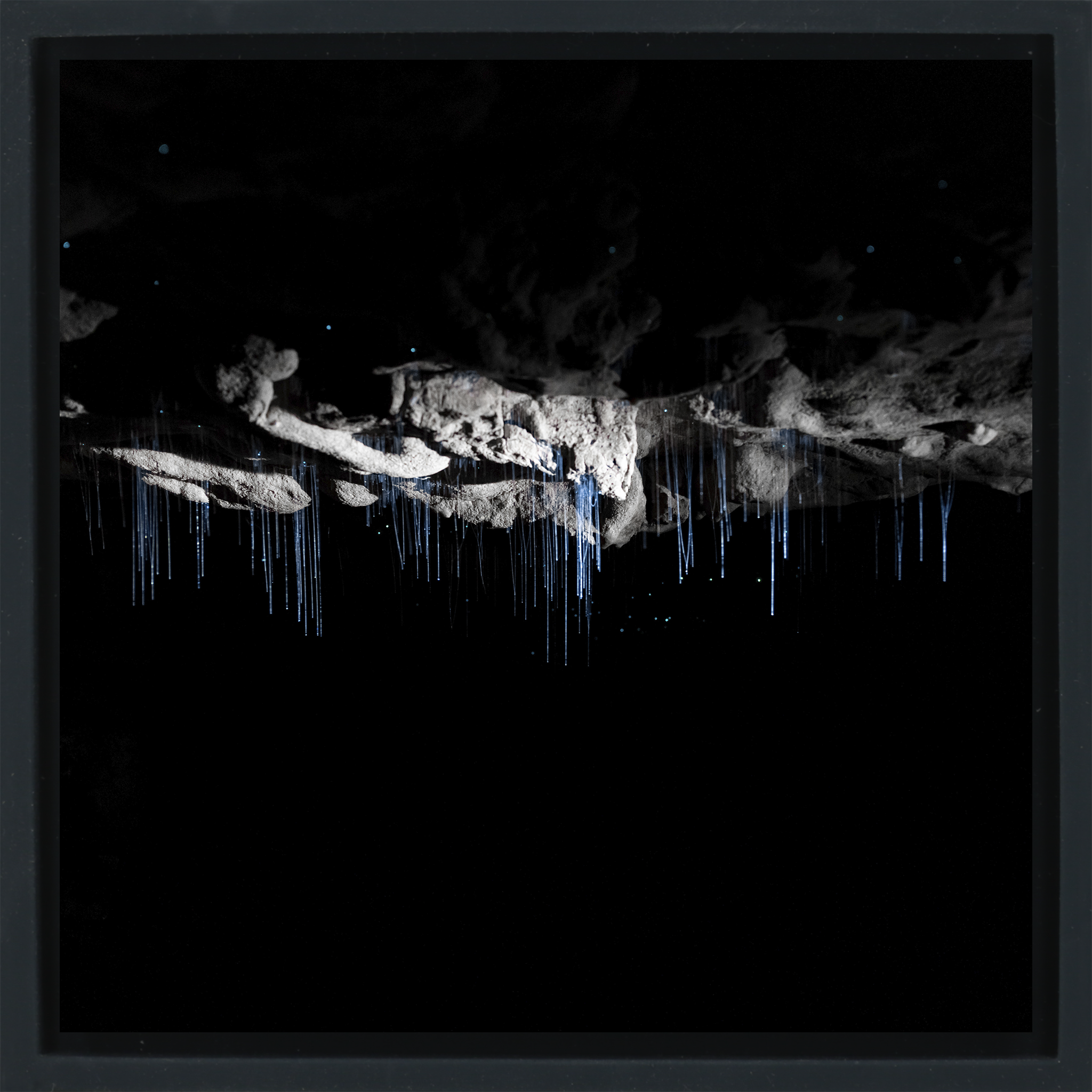 Where Darkness Glows- Black Wrapp